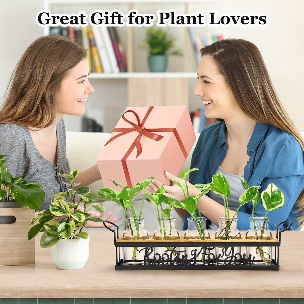 Plant Propagation Station "Rooting for You" Hydroponic Planter Vase | 5 Glass Propagation Jars with "Rooting for You"