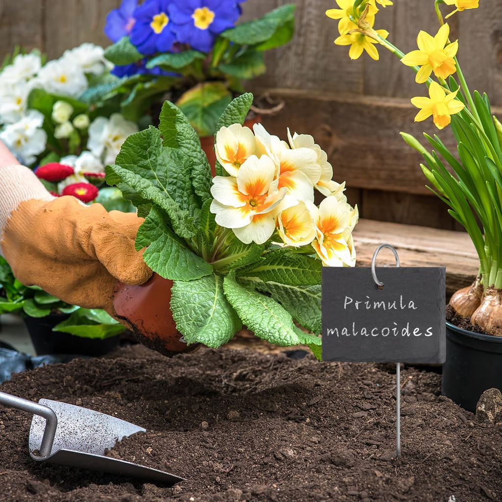 15 Pcs Slate Plant Labels with Chalk Pencils, Rectangular | Outdoor Garden Marker Label Signs, With Stakes, For Plants