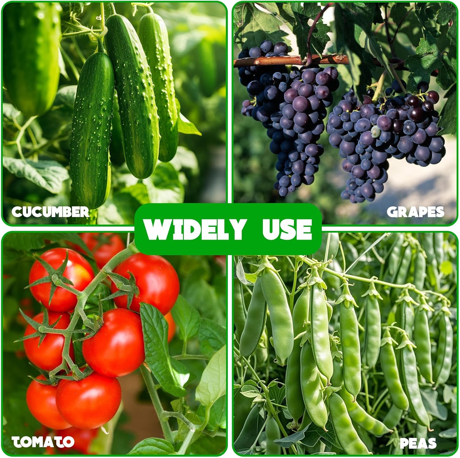 No Assembly Required Cucumber Trellis,2 Pack Trellis for Cucumbers,Outdoor Raised Bed Climbing Plant Support,A-Frame
