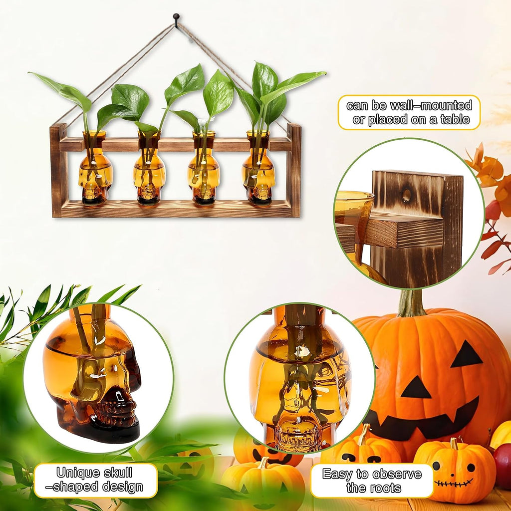 Plant Propagation Stations Halloween Skull Plant Terrarium Kit | Glass Vases Gift for Father Air Planter Home Office