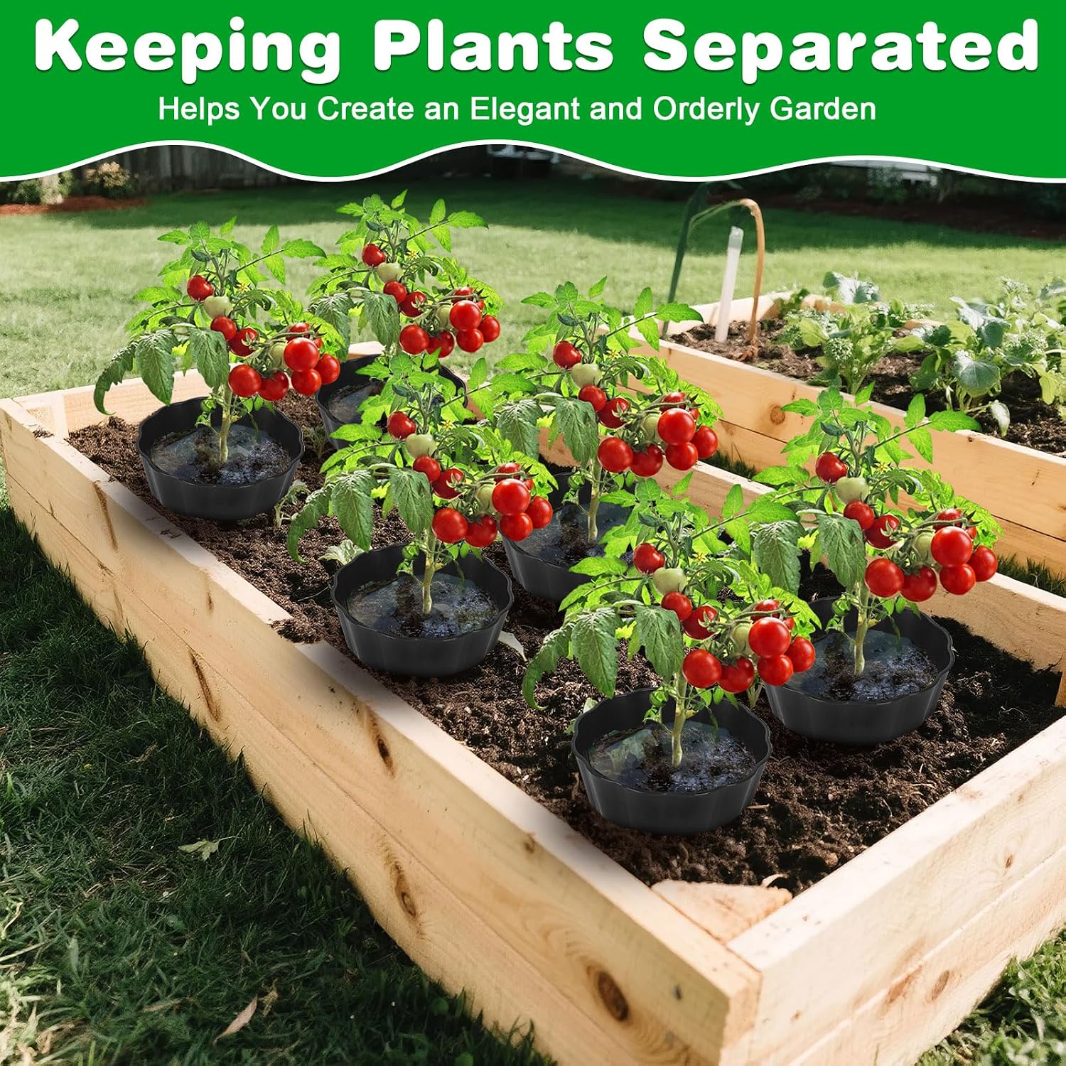 3 Pack of 12 Inch Planting Grow Rings, Planting Protective Round Garden Edging, Keeping Plants Separated, Weed Control