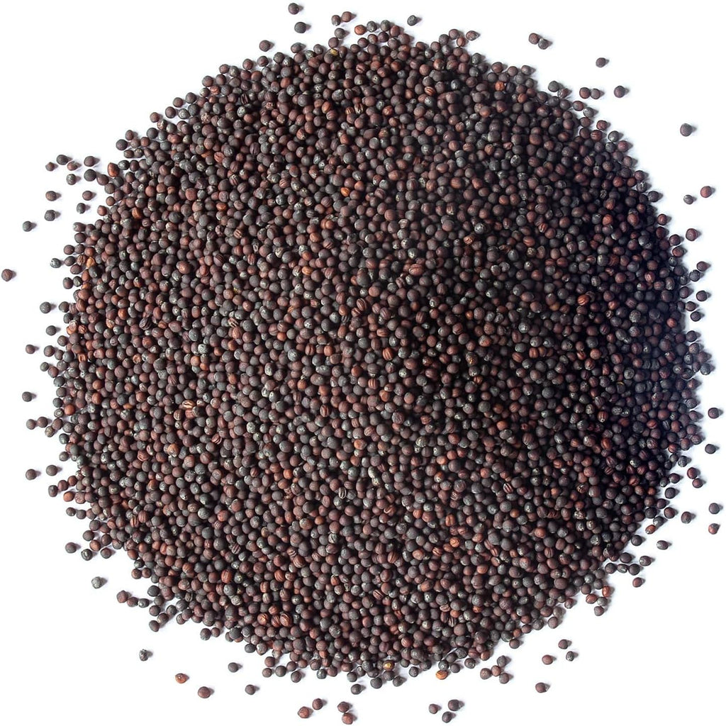 Food to Live Organic Broccoli Seeds for Sprouting, 4 Pounds – Non-GMO, Vegan, Kosher, Sirtfood, Bulk. Rich in