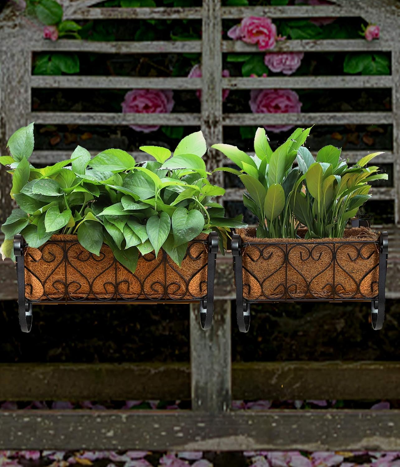 MorTime Iron Hanging Flower Rack Basket Shelf with Hooks, Railing Flower Pots Holder Black Metal Decorative Railing