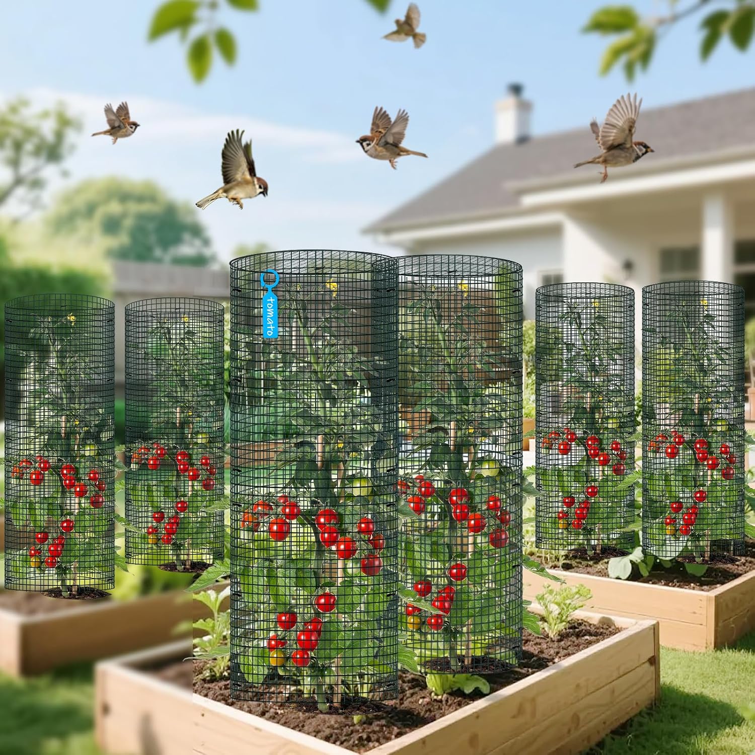10 Pack Wire Plant Protector with Cover, 16"x12" | Detachable Metal Plant Protectors Mesh, Garden Plant Protectors for