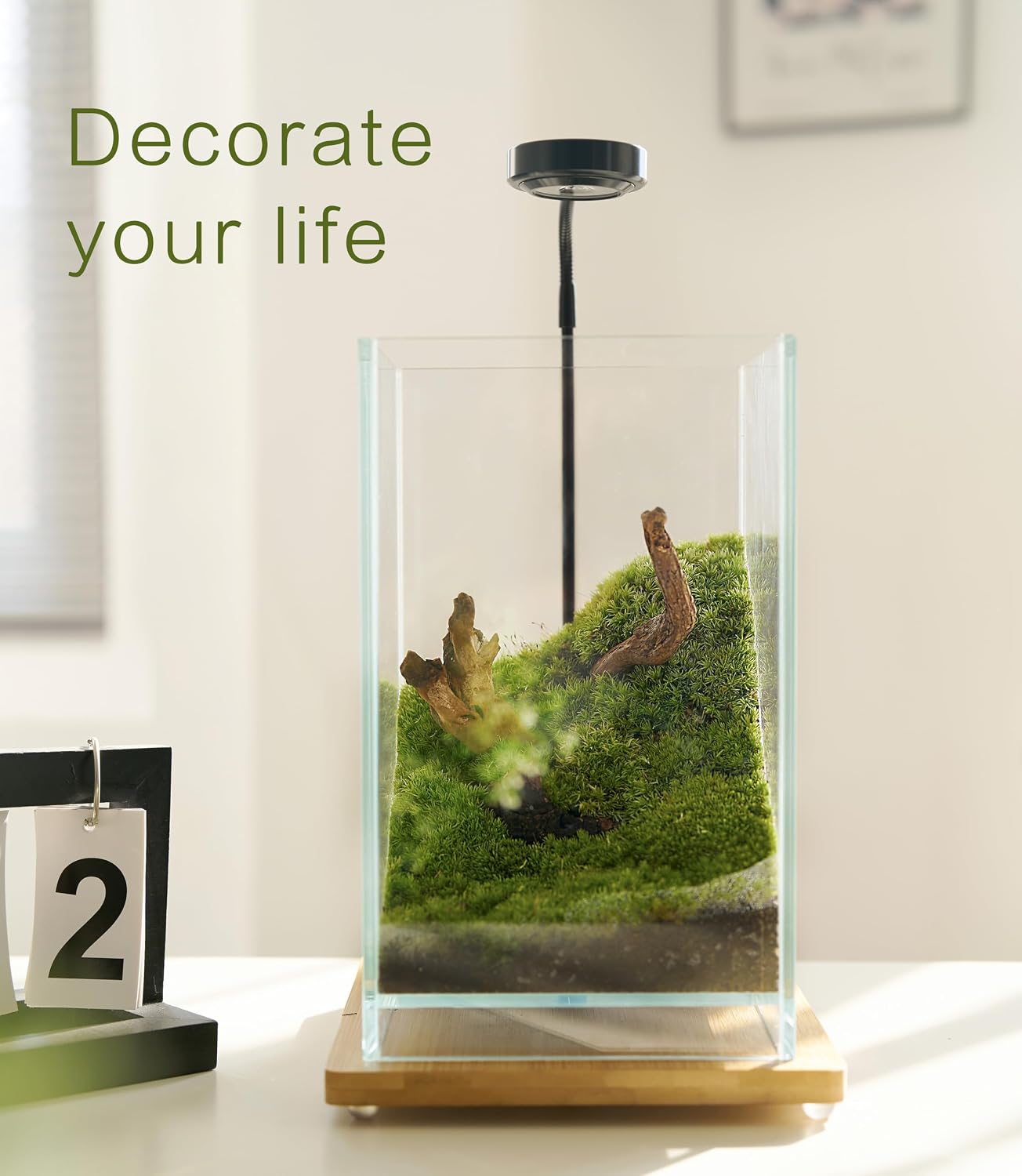 27 PCS Glass Plant Terrarium Kit with LED Grow Light– DIY Moss Terrarium Kit for Adults, Mini Garden Set for Succulent