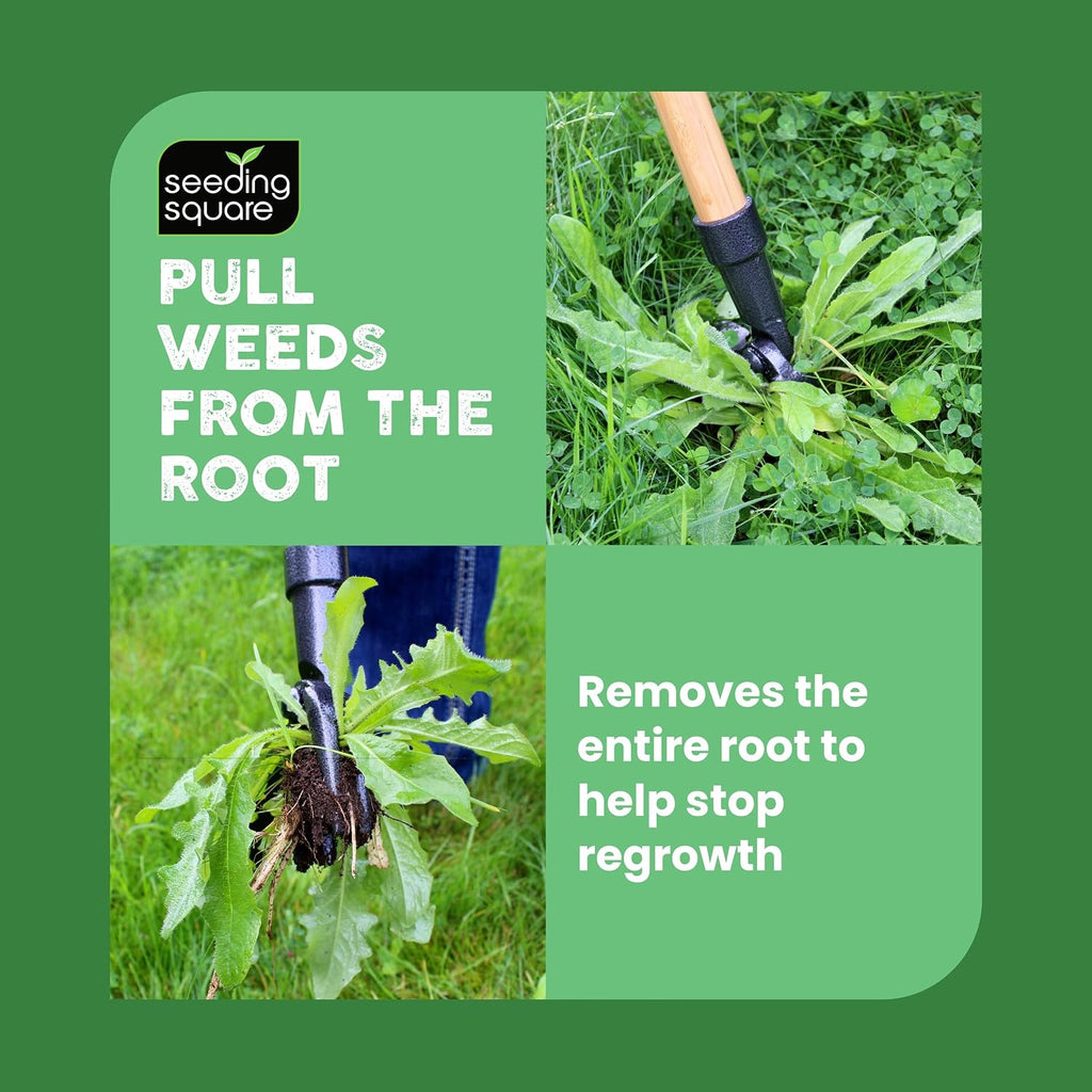 Stand-Up Weed Puller Tool with Long Handle for Dandelions and Garden Weeds. | Carbon Steel Head | Bamboo Shaft