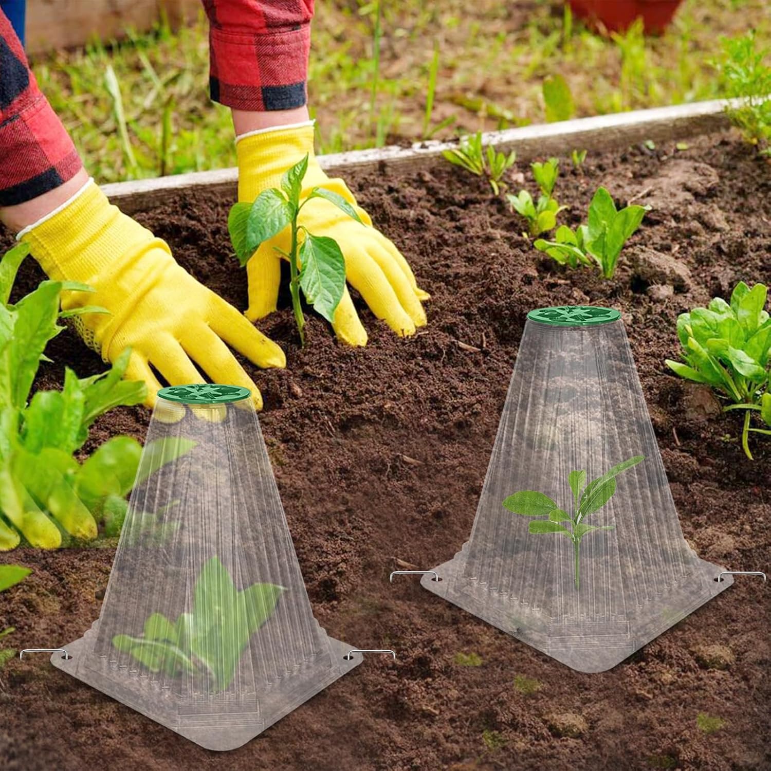 20Pc Reusable Bell-Shaped Plant Covers for Outdoor Gardens, Frost Protection and Animal Defense (Snails, Birds