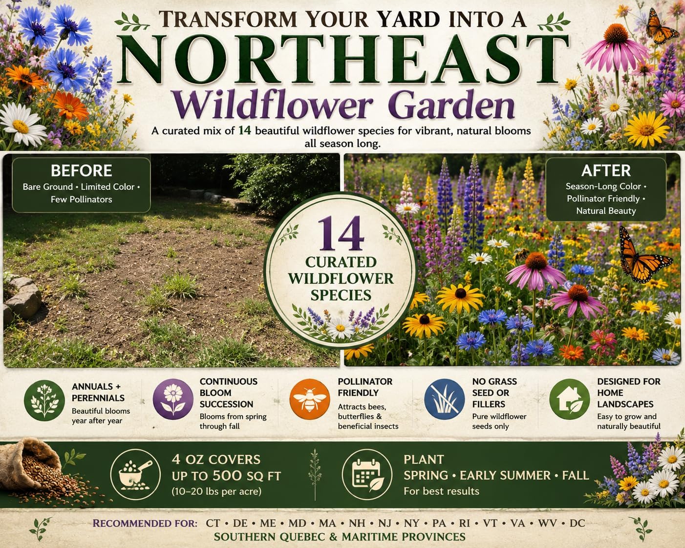 Delaware Bulk Wildflower Seed Mix 1/4lb Covers 500sq-ft - Attract Pollinators, Multi-Color Perennial and Annual Non-GMO