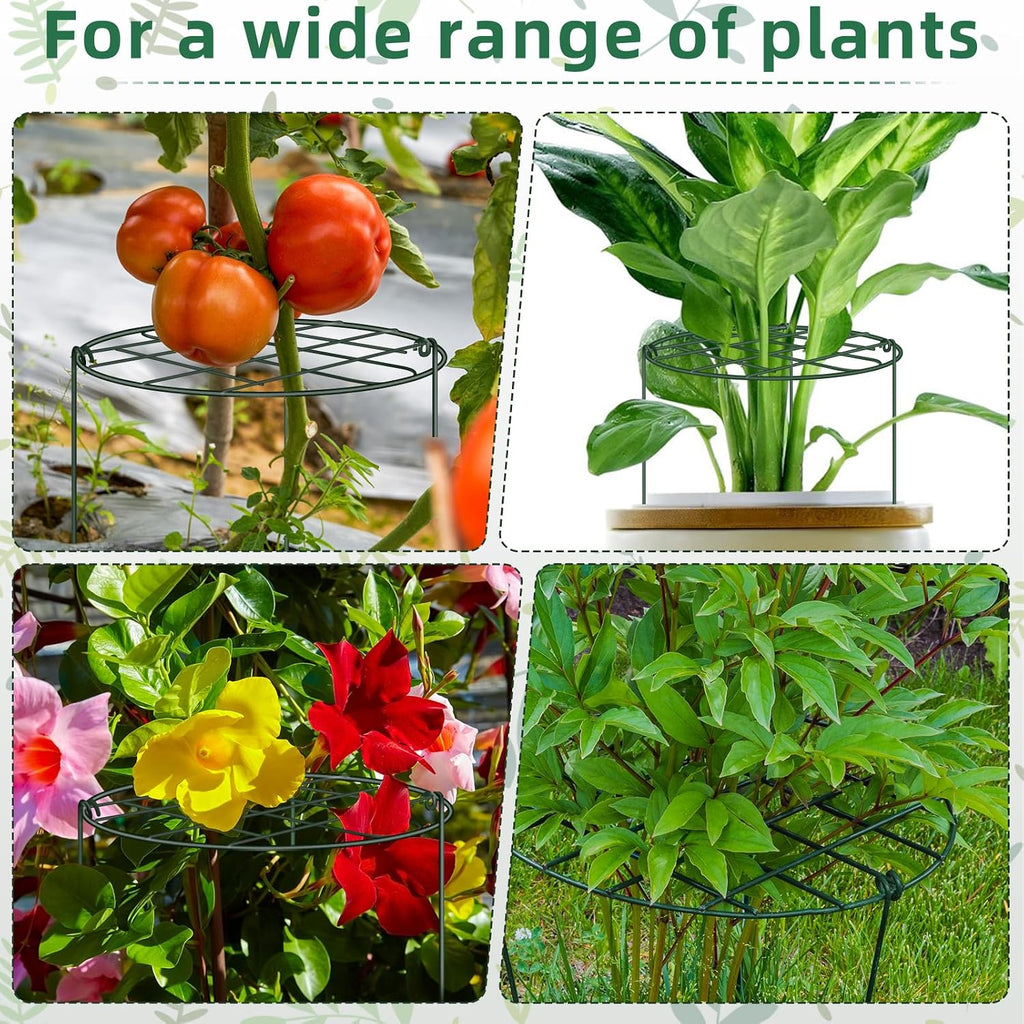 6 Pack 12 x 16 Inch Peony Cages and Supports for Outdoor Plants | Grow-Through Flower Support Rings for Peonies Roses