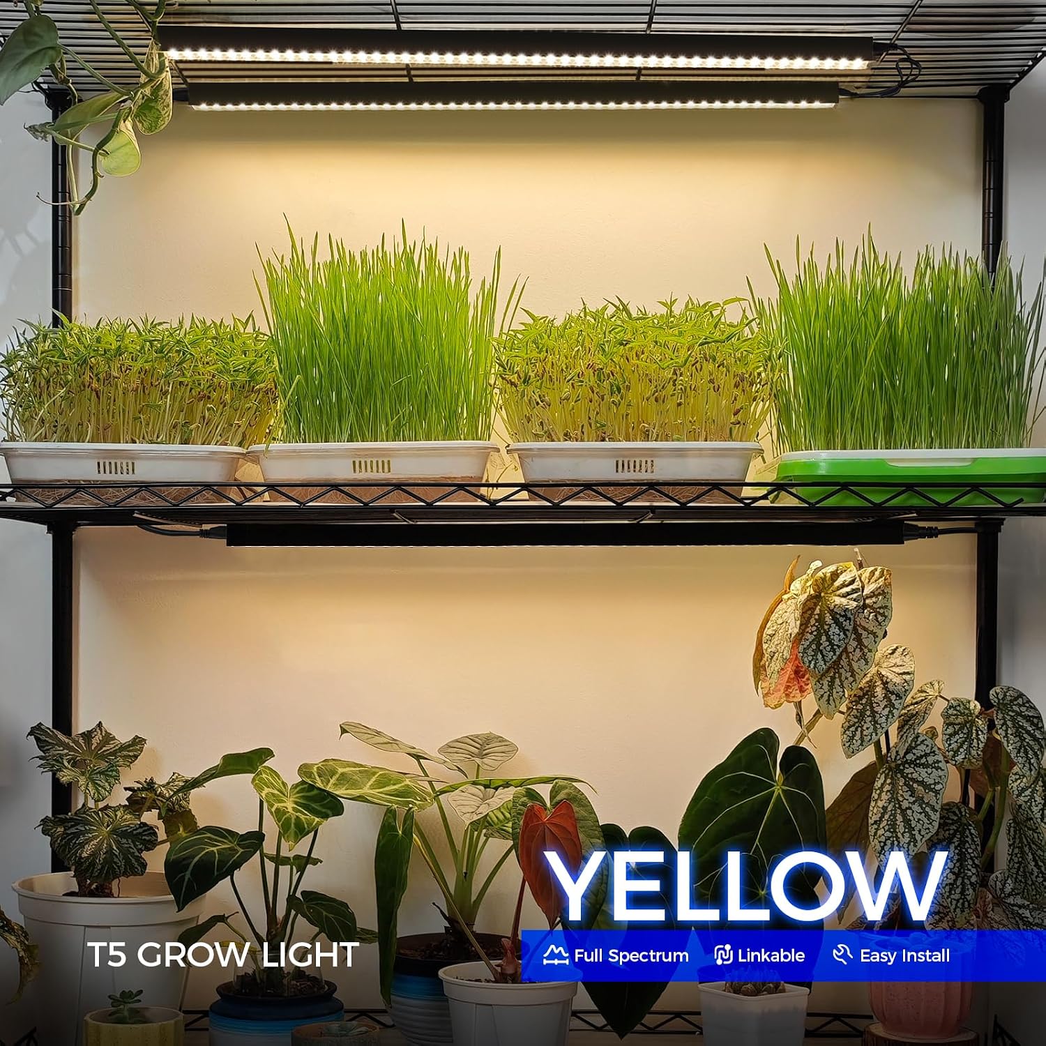 Barrina T5 LED Grow Lights, 2FT Yellow, Black Cover, Linkable, 2 Packs | Full Spectrum, Grow Light Strip for Indoor