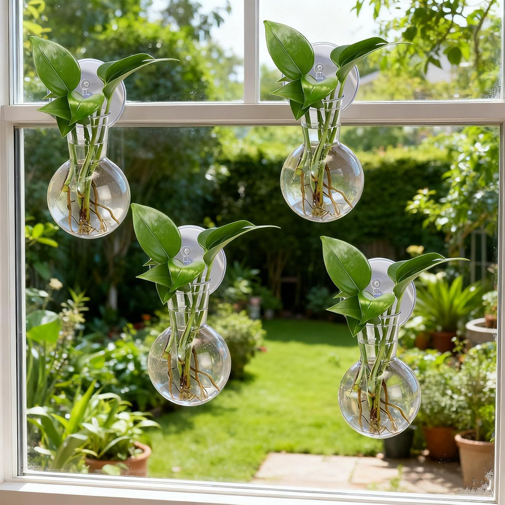 12 Pack Window Propagation Stations Plastic Wall Hanging Planter with Suction Cups Brush Window Suction Plant Holder