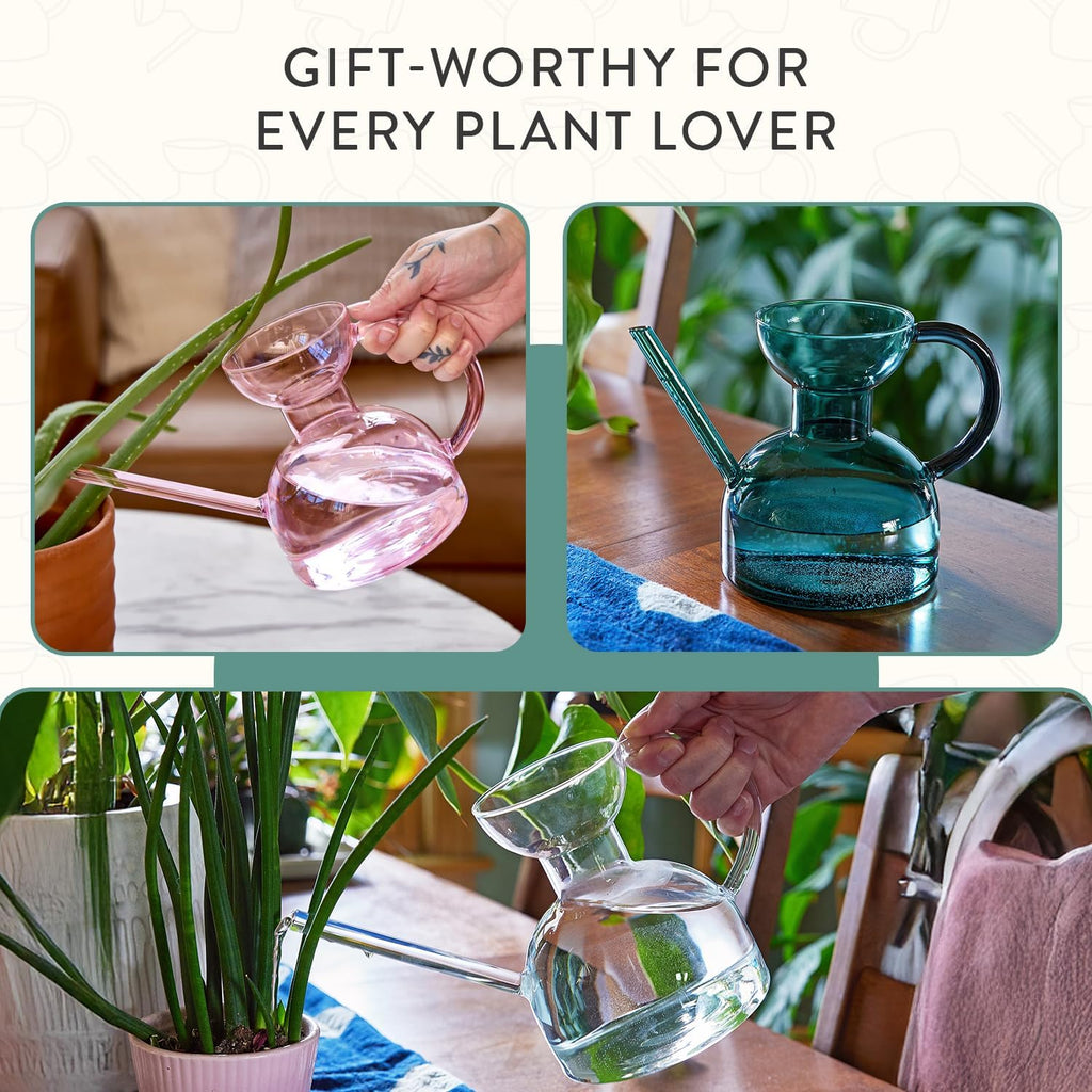 Modern Sprout Glass Watering Can - 32 oz - Long Spout Modern Decor (Teal) | Handcrafted from Borosilicate Glass - Ideal