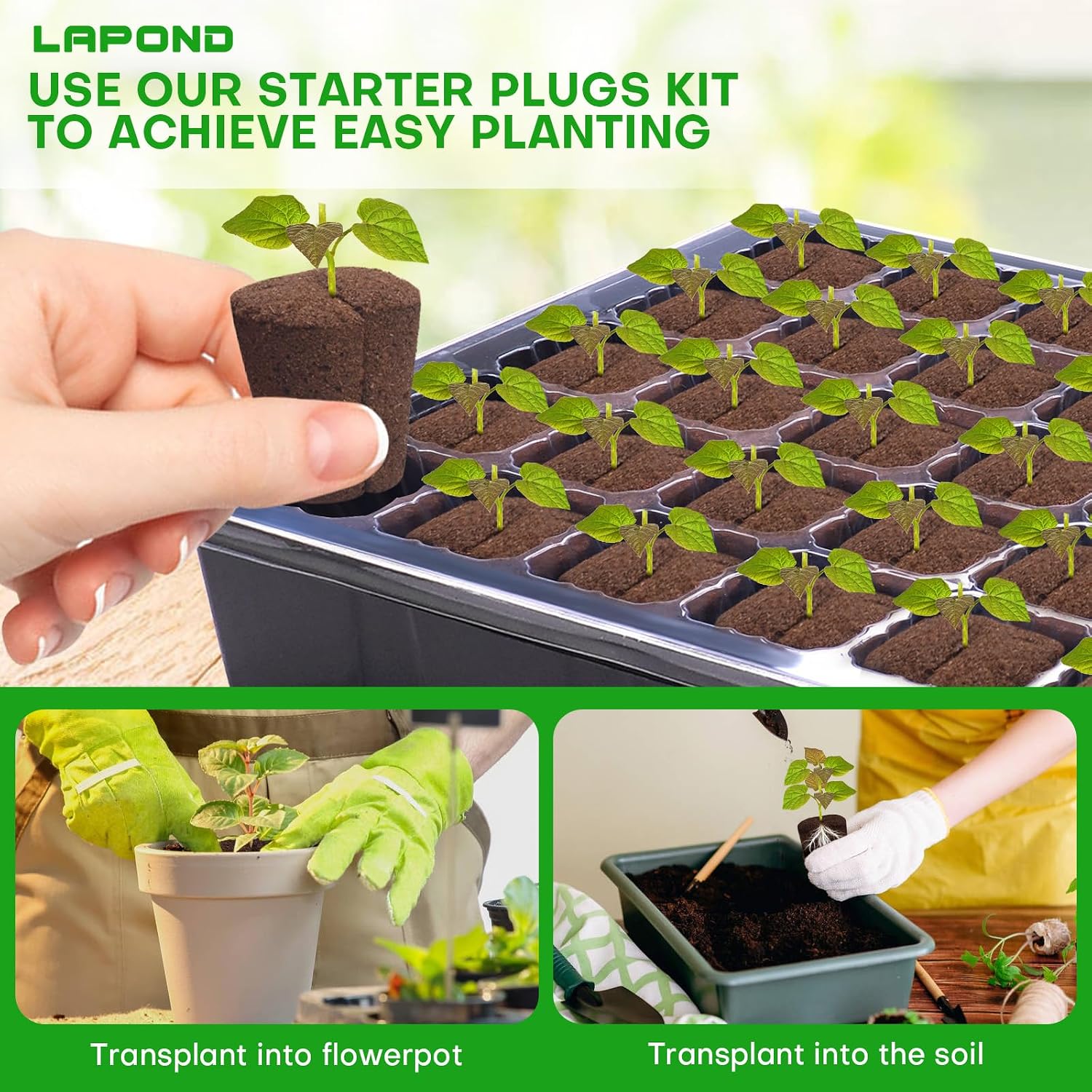 40 Pcs Grow Sponges with Tray, Plant Starter Plugs for Cuttings, Great for Soil, Tray or Planting Pods Plant Rooter