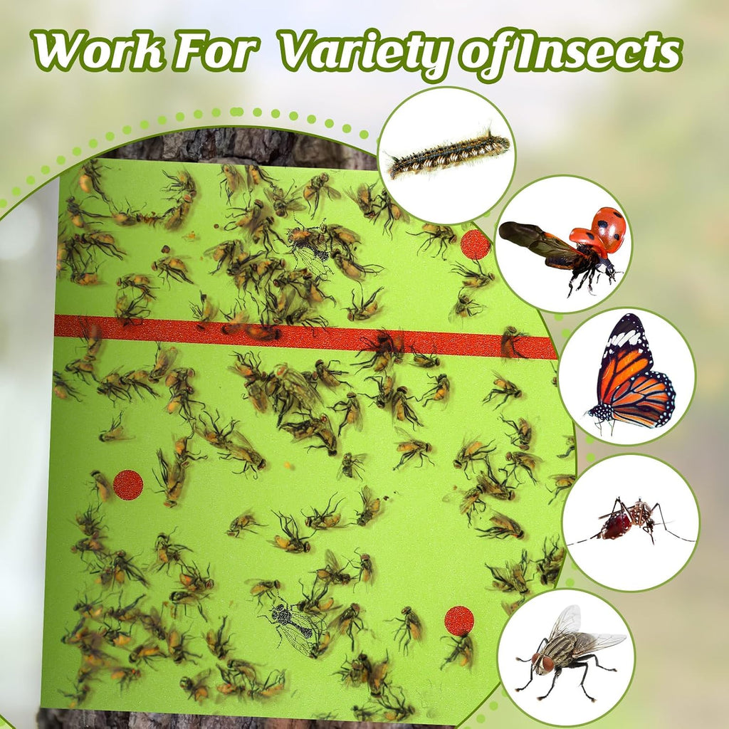 Qualirey 4 Rolls Spotted Lantern Fly Tree Tape Trap 30ft,Green | Sticky Paper for Orchard Protection, Outdoor Pest