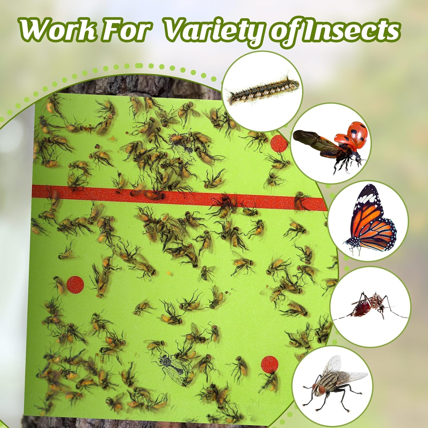 Qualirey 4 Rolls Spotted Lantern Fly Tree Tape Trap 30ft,Green | Sticky Paper for Orchard Protection, Outdoor Pest