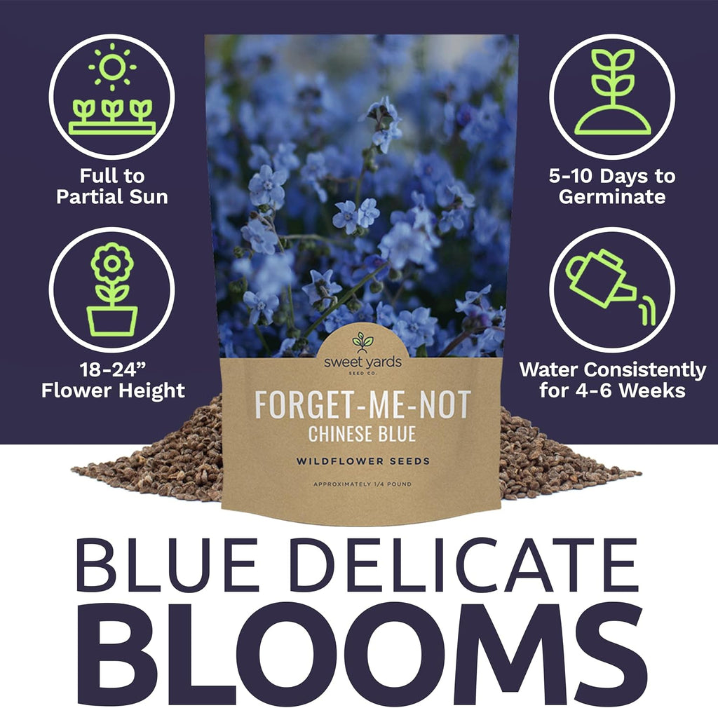 Chinese Forget Me Not Wildflower Seeds - Bulk 1/4 Pound Bag - Over 22,000 Open Pollinated Seeds - Blue Cynoglossum