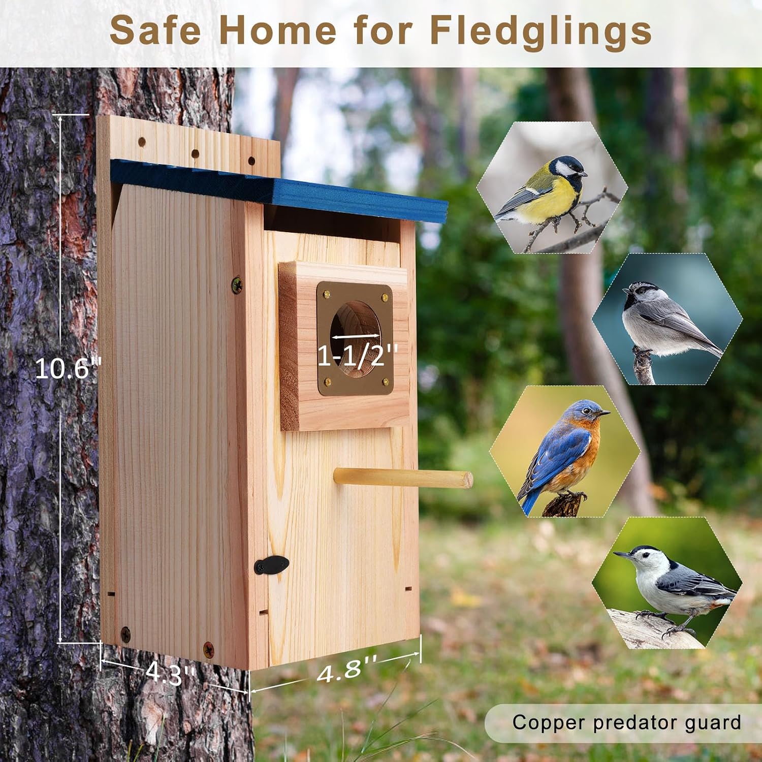 Wooden Outdoor Bird House with Copper Guard, Thickened Wood 2 Pack | 2 pack design, easy assembly, cottage nesting box