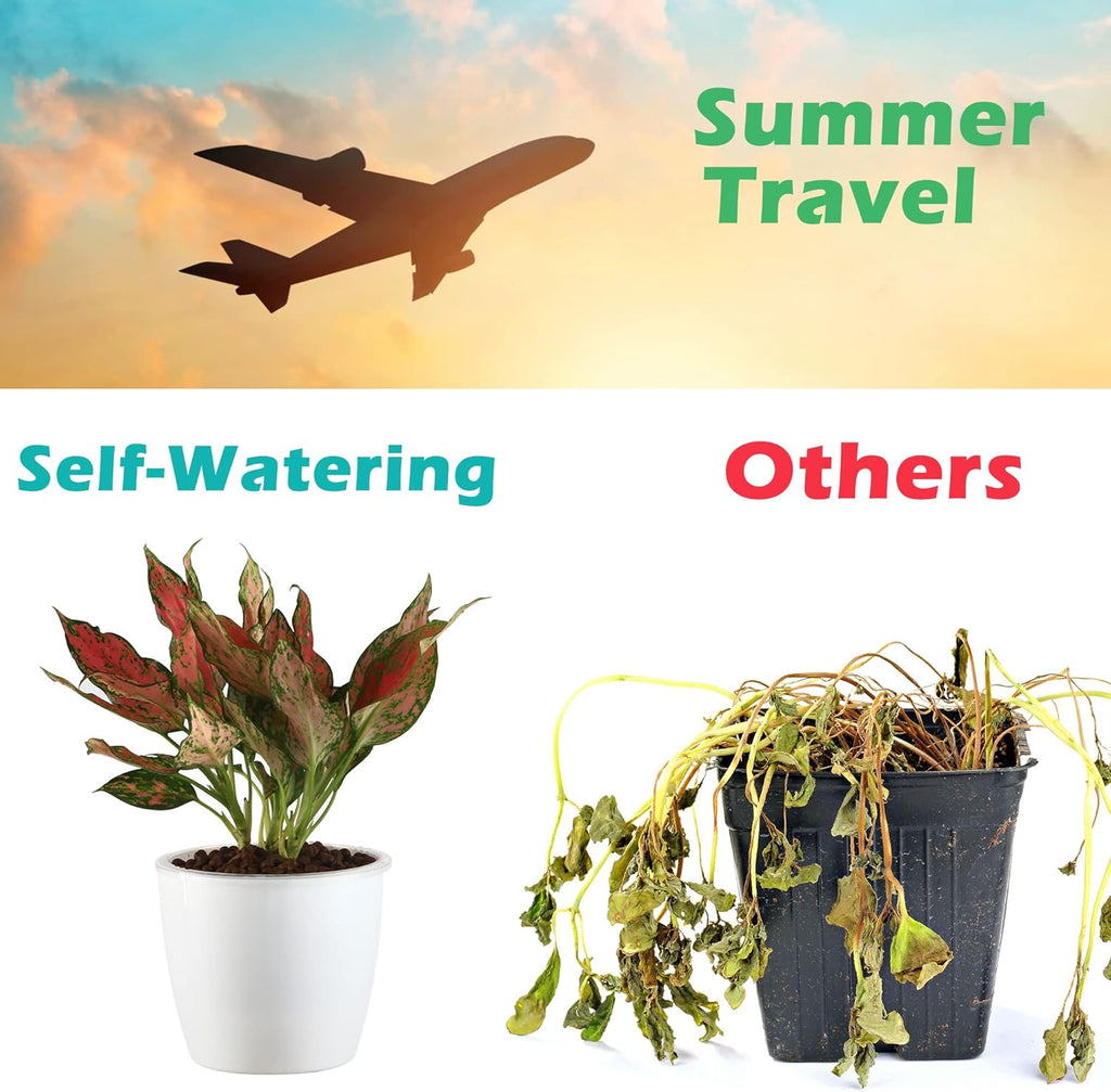 6 Pack 6.7" Self-Watering Planters Flower Pots for Indoor Garden Devil's Ivy, African Violet, Ocean Spider Plant