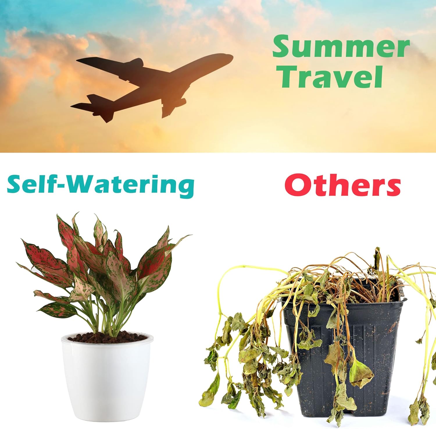 6 Pack 6.7" Self-Watering Planters Flower Pots for Indoor Garden Devil's Ivy, African Violet, Ocean Spider Plant