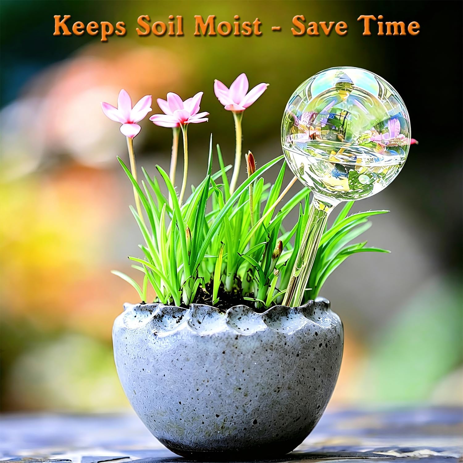 Self Watering Globes for Plants, Large 6pcs Glass Garden Self Watering Bulb | Up to 5 Days of Irrigation Self Watering