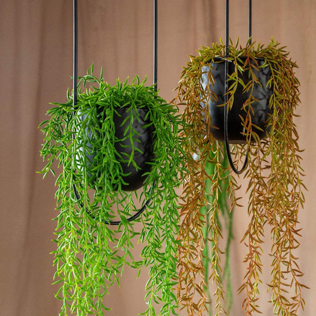 RISEON Boho Black Metal Plant Hanger,Metal Wall and Ceiling Hanging Planter, Modern Planter, Mid Century Flower Pot