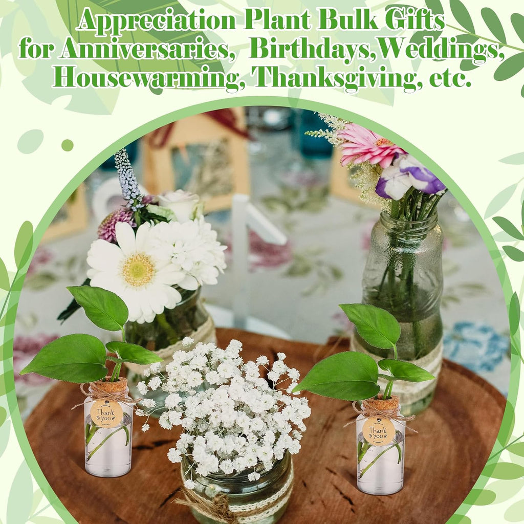 36 Packs Plant Propagation Stations with Hole Lid Clear Plastic Cultivation Bottles Tabletop Hydroponic Containers with