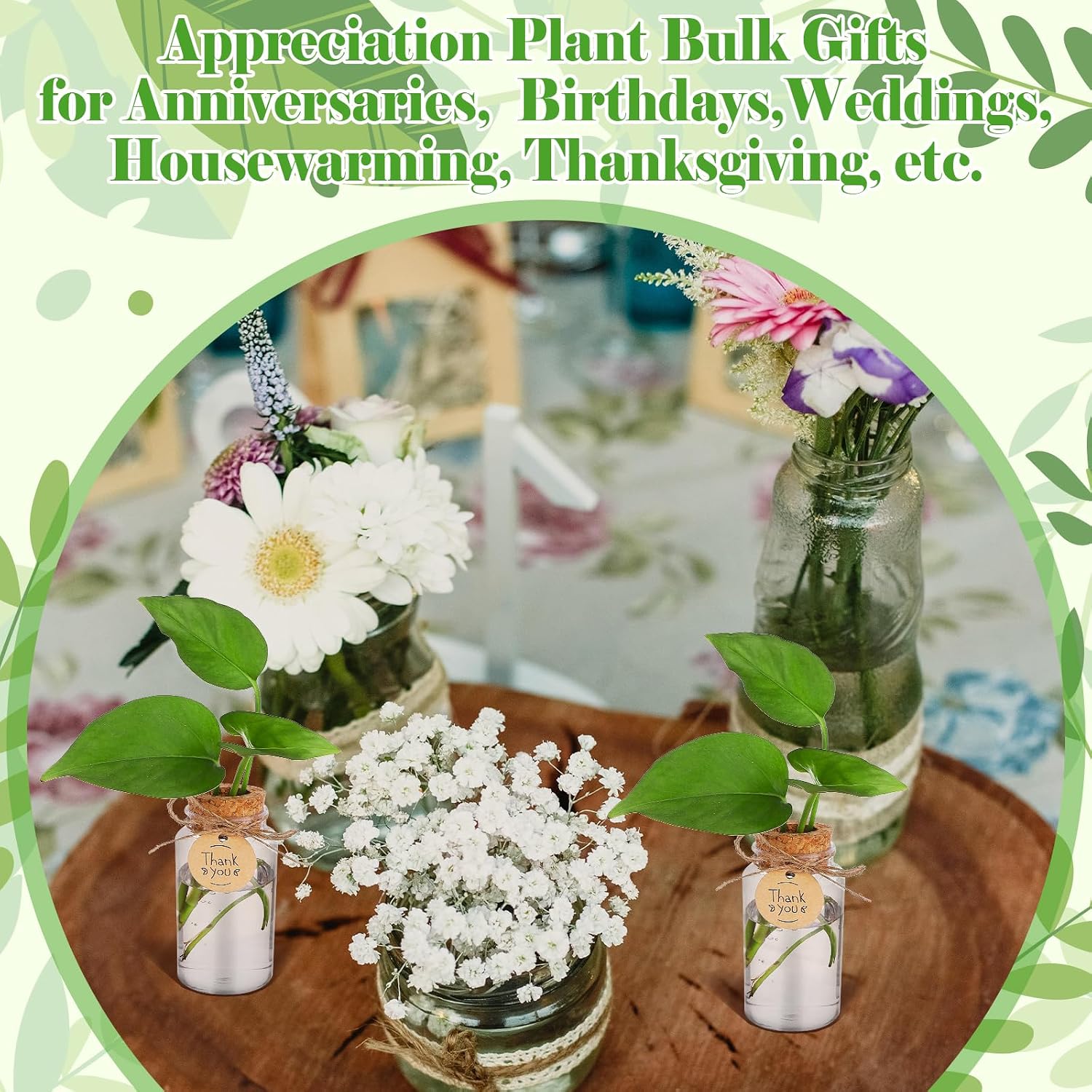 36 Packs Plant Propagation Stations with Hole Lid Clear Plastic Cultivation Bottles Tabletop Hydroponic Containers with