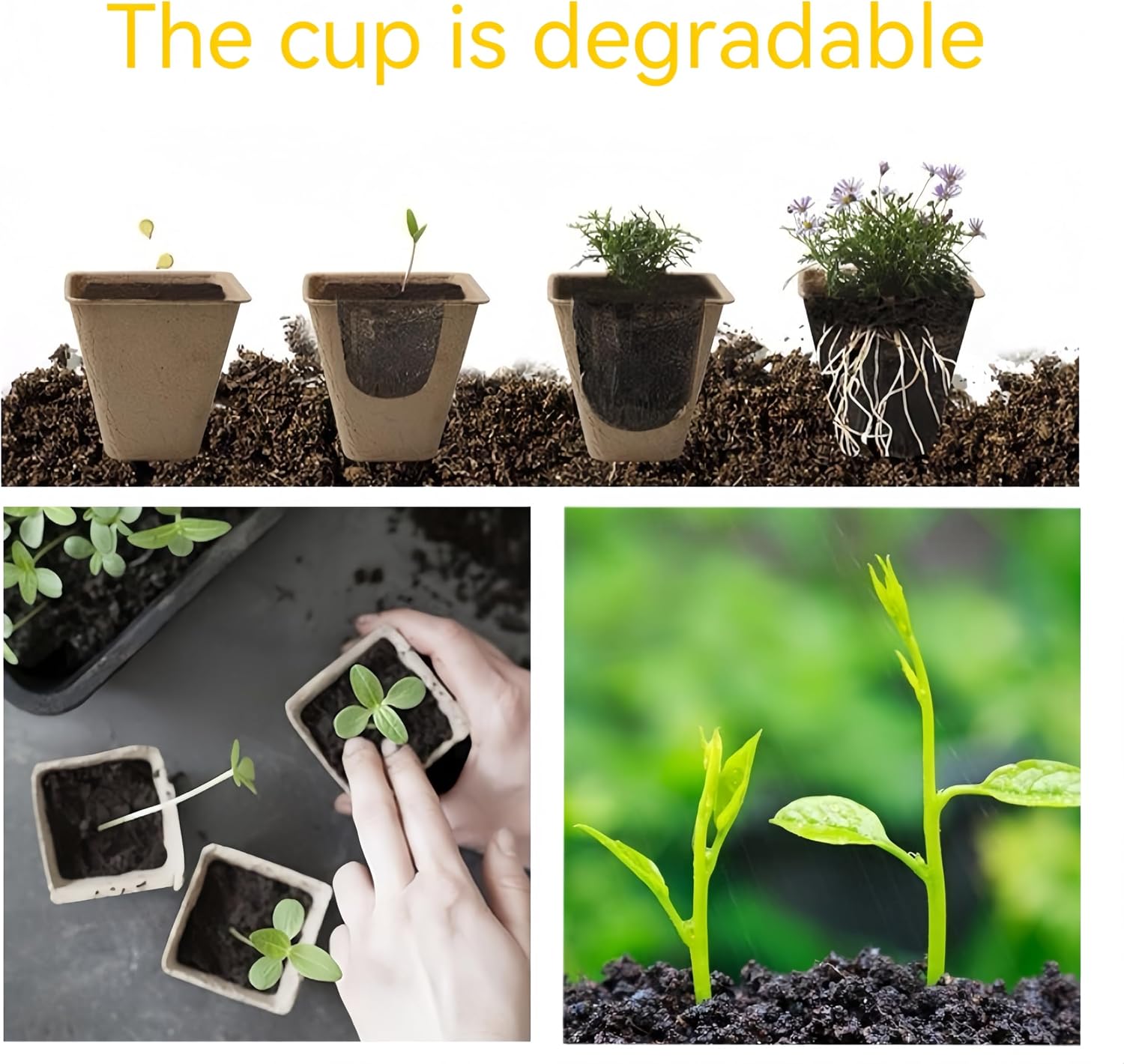 480 Cells Seed Starter Tray, 48 Pack Biodegradable Peat Pots, Seed Starter Kit for Seedlings with 48 Labels