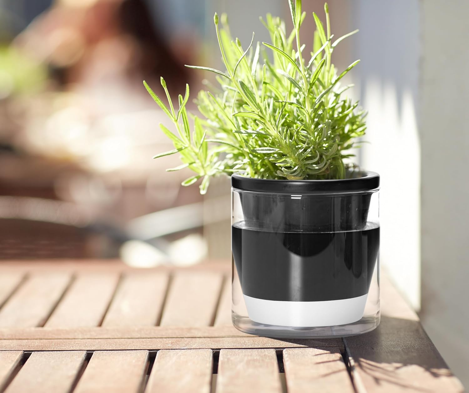 D'vine Dev Self-Watering Black Terracotta Planter, 4 in, 4-Pack, 37-Z-A-3-F | Terracotta & Glass Design, Clear Water