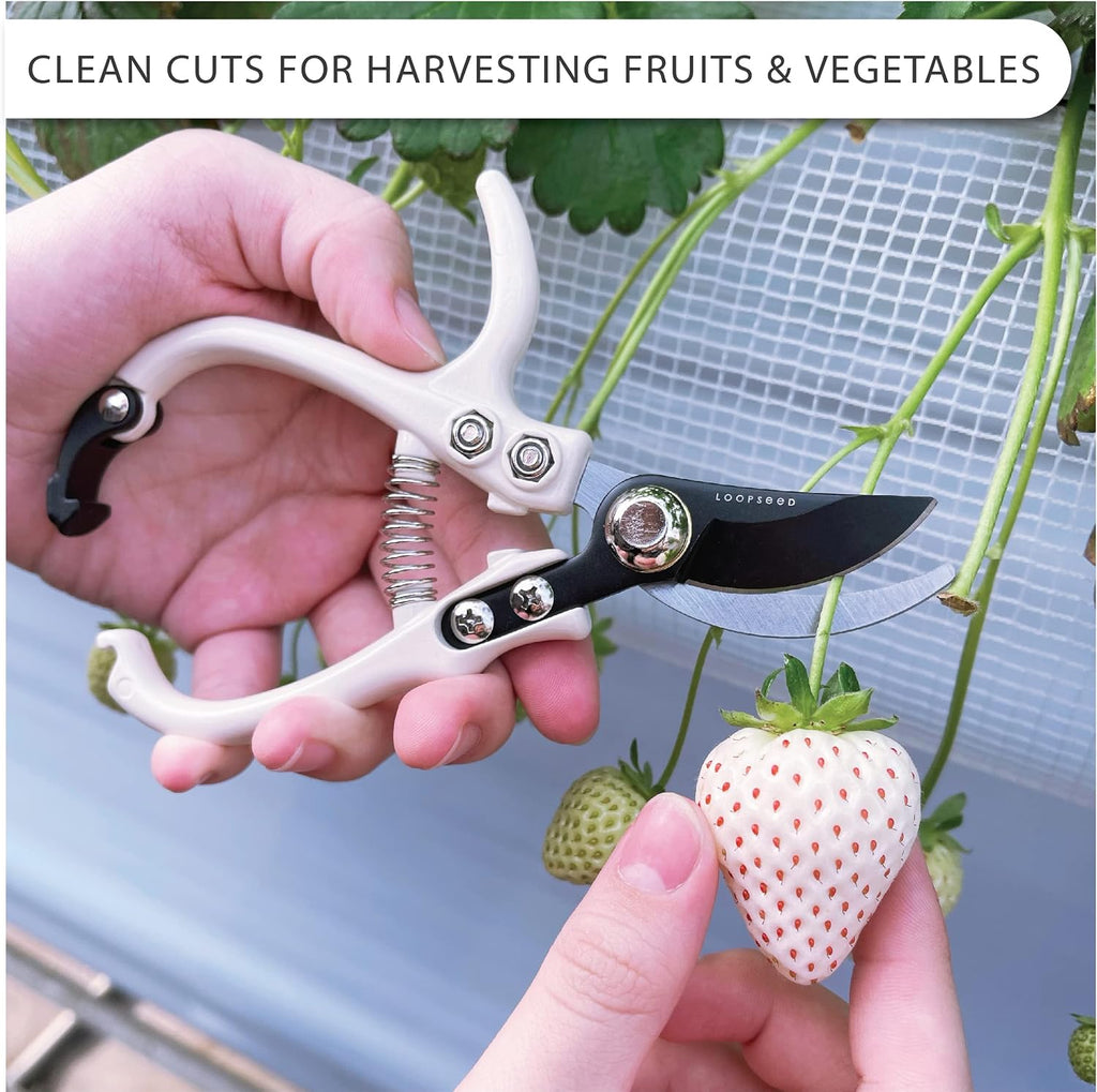 Bypass Pruning Shears Hand Pruner Garden Trimming Scissors Plant Trimmers Herb Snips Flower Clippers Ergonomic Handle