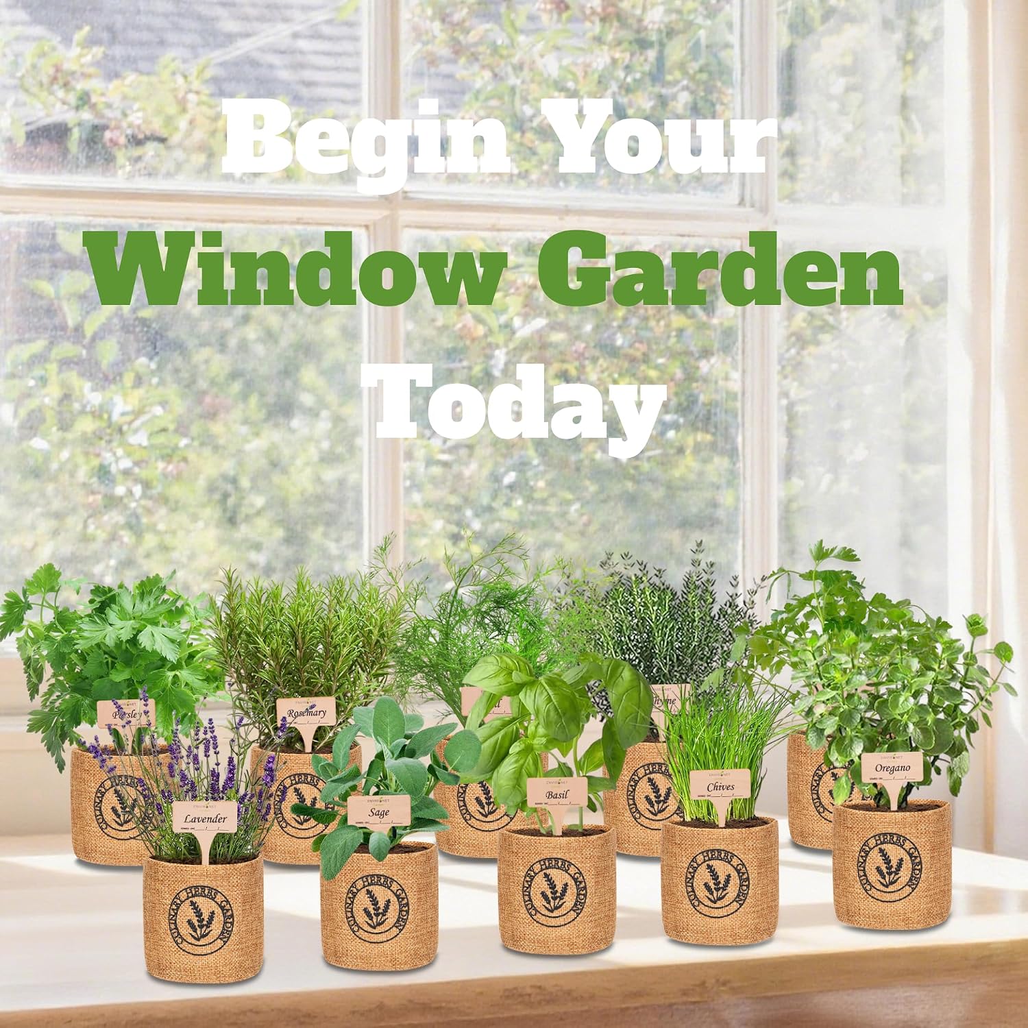 10 Indoor Herb Garden Kit- Burlap Pots, Organic Seeds, Herb Garden Planter Indoor Kit, Easy Window & Kitchen Herbs