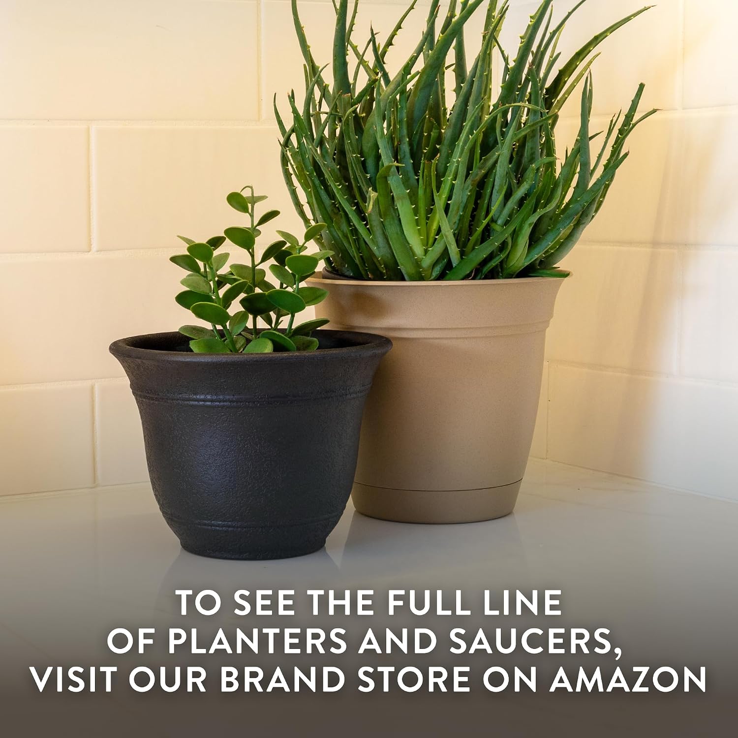 The HC Companies Sierra Round Self-Watering Pot - Lightweight Plastic Planter for Herbs & More - Durable Plant Pots for