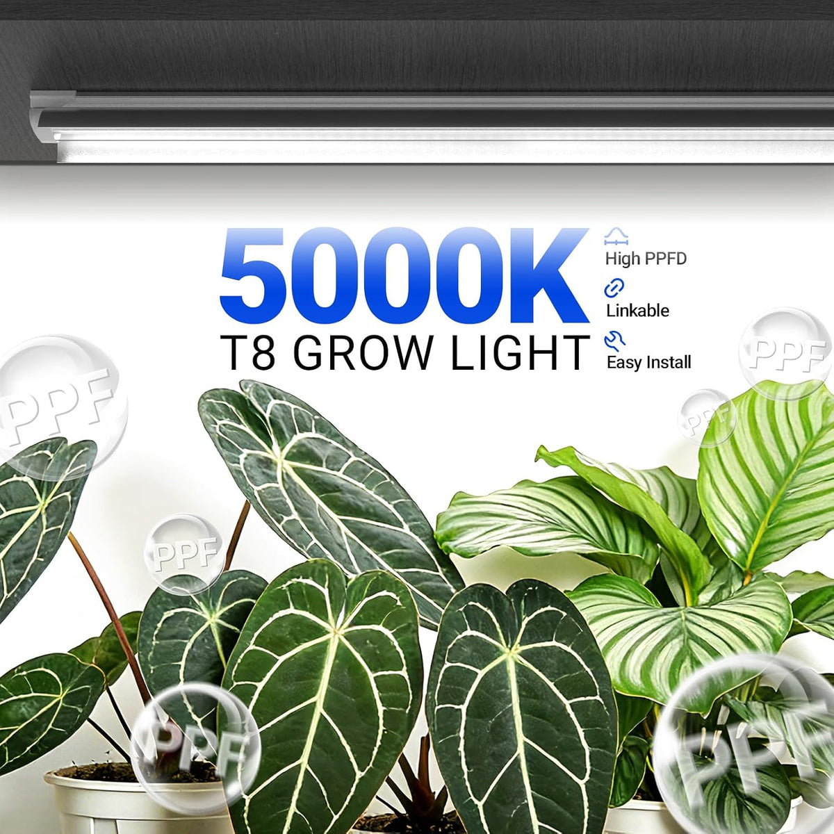Barrina Plant Grow Lights, 4FT 5000K Full Spectrum Daylight White, 6 Packs | 252W(6 x 42W, 1400W Equivalent), T8 LED
