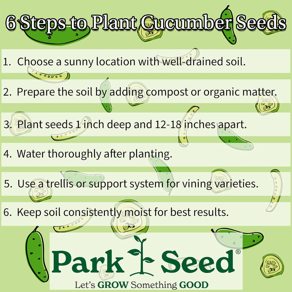 Park Seed Variety of Cucumber Seeds, Planting Cucumbers, Vegetable Seeds, Easy to Grow, Non-GMO, Perfect for