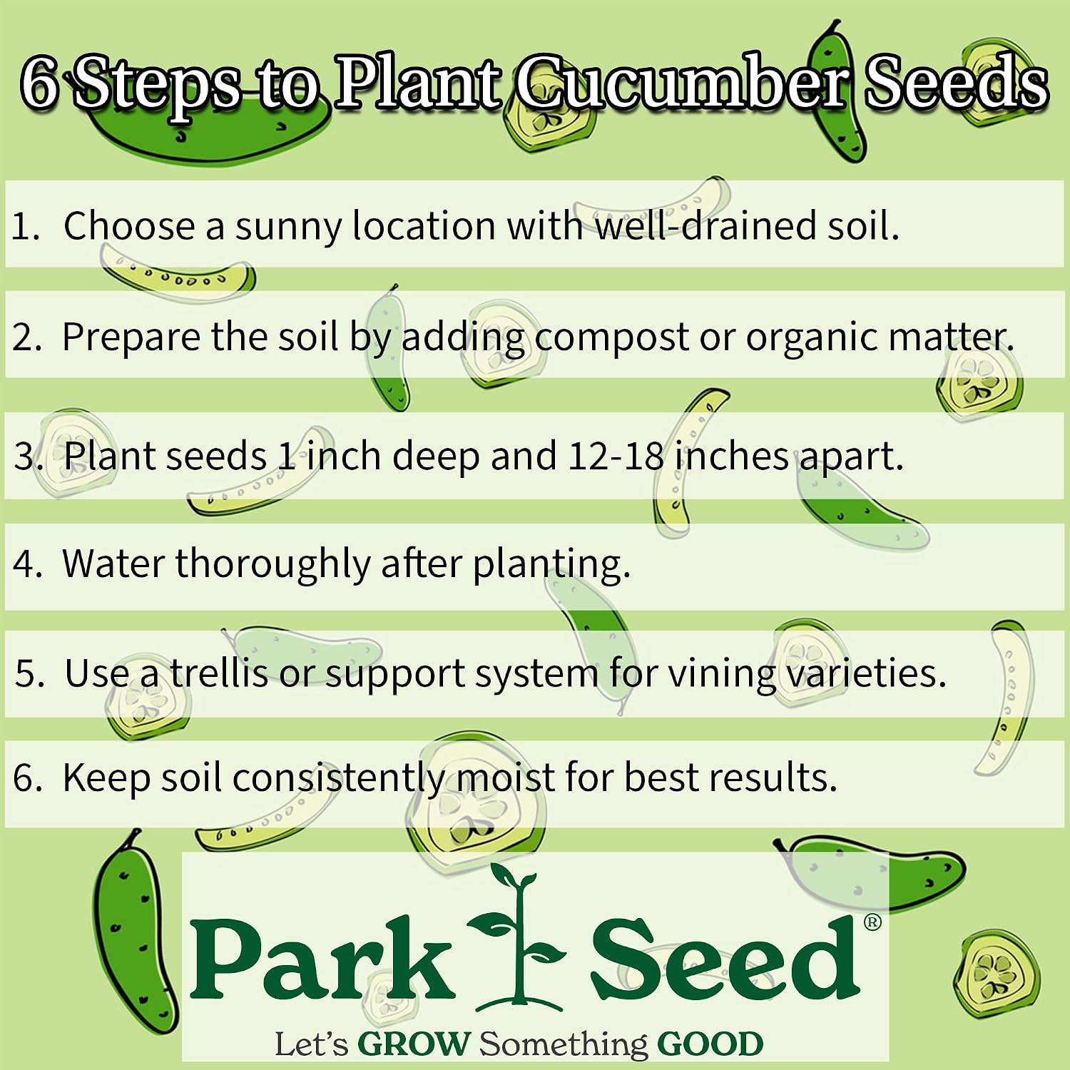 Park Seed Variety of Cucumber Seeds, Planting Cucumbers, Vegetable Seeds, Easy to Grow, Non-GMO, Perfect for