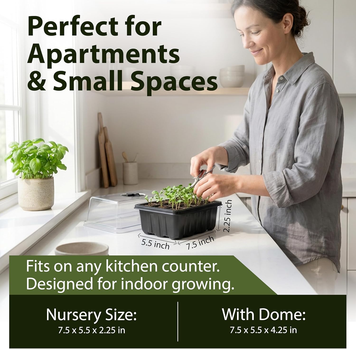 Seed Starter Kit with Humidity Dome – 12-Cell Indoor Pre-Seeded Seed Starting Tray with Basil & Microgreens – Complete