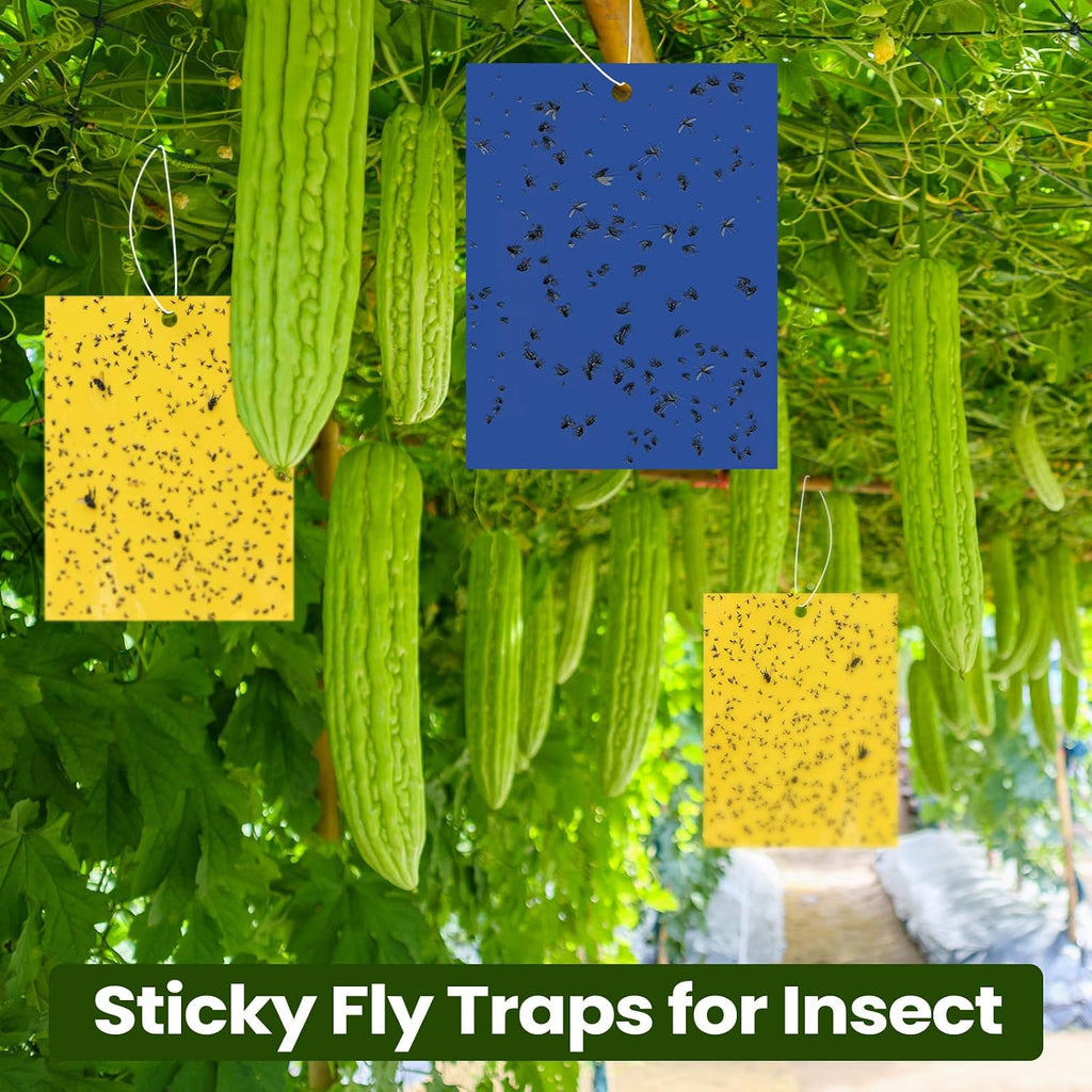 Qualirey 100 Pcs Yellow,Blue,Green Sticky Traps 6x8in for Gnats Indoor | Dual-sided for Fungus Gnats Fruit Flies