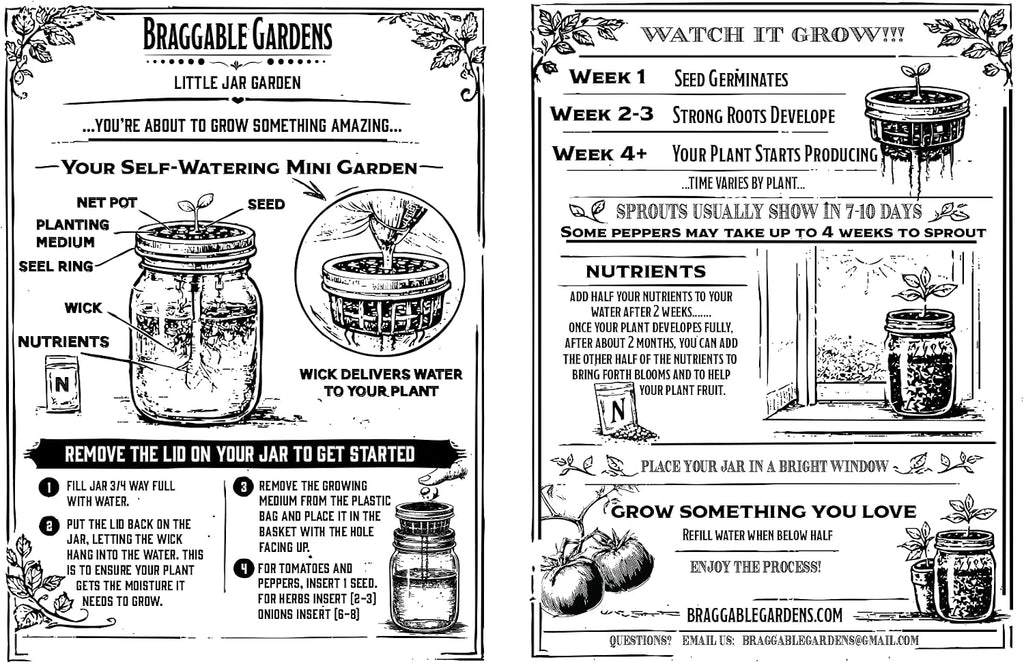 Italian Pizza Garden Mason Jar Kit (3 Pack) – Tiny Tim Tomato, Greek Basil & Mini Red Bell Pepper – Indoor Hydroponic
