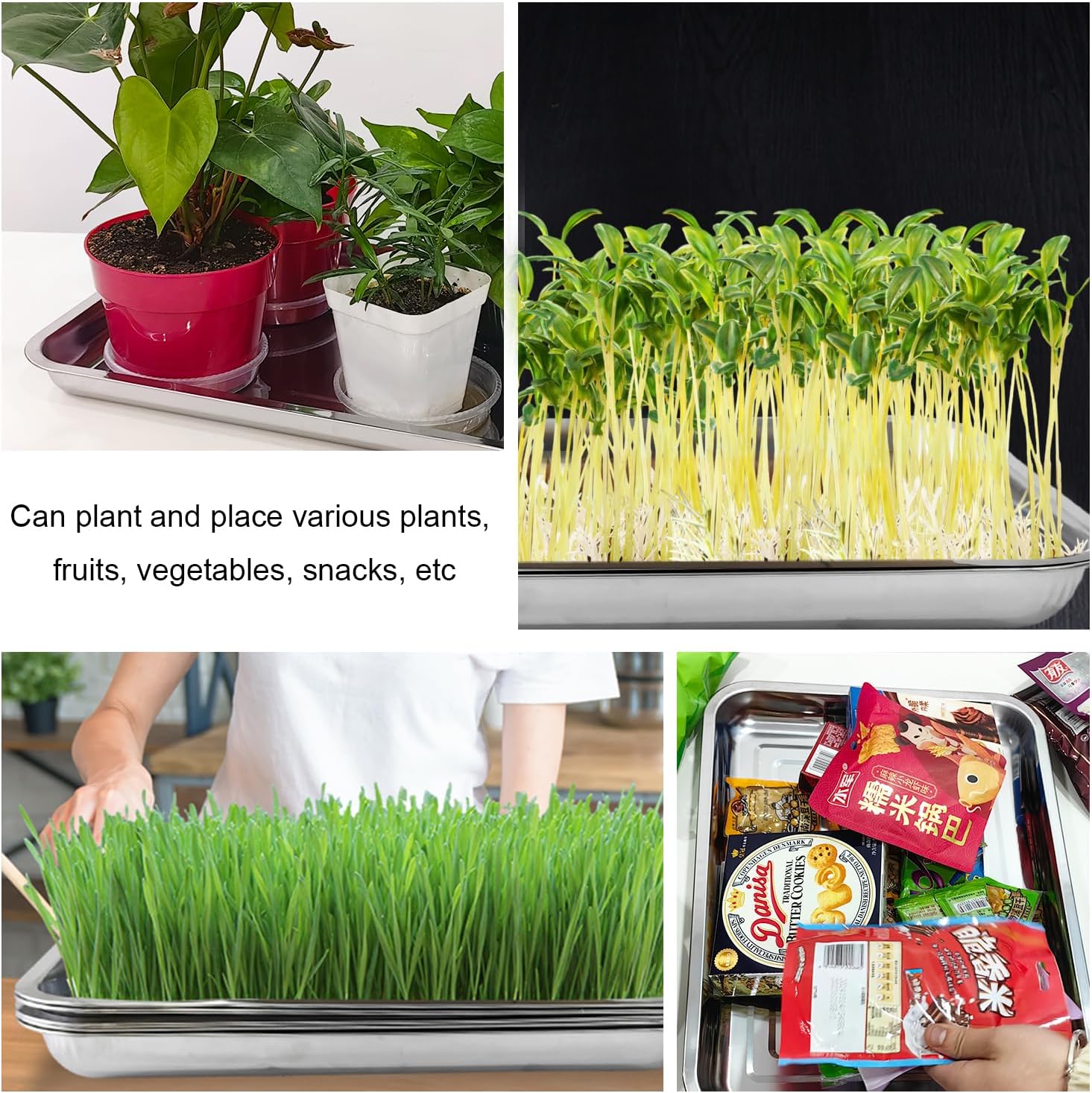 RooTrimmer 5 Pack Large Stainless Steel Seedling Trays, Heavy Duty Metal Water Catch Trays for Nursery Pots-Transplant