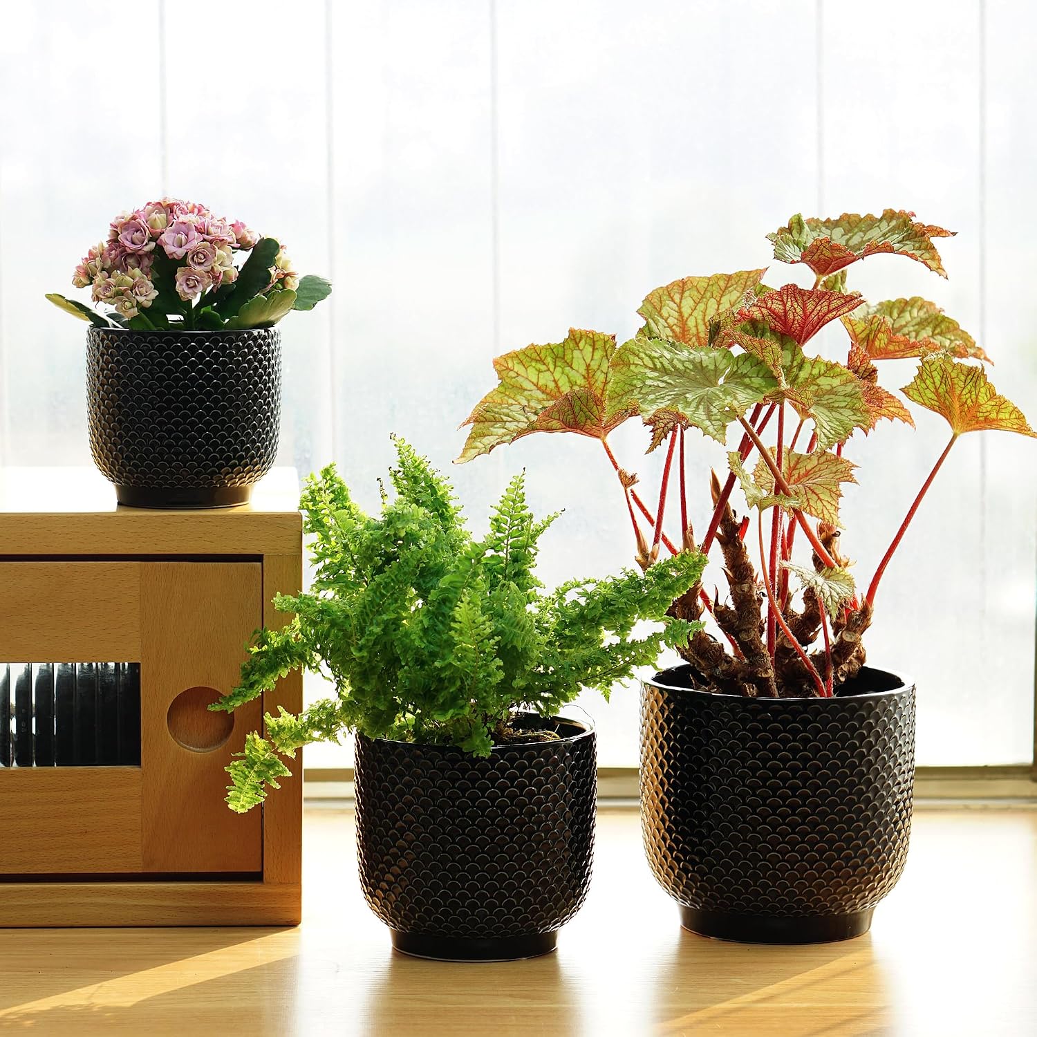 4 + 5 + 6 Inch Ceramic Pots for Indoor Plants, Succulents Plant Pots, Orchid Flower Pot with Drainage Hole, Modern Clay