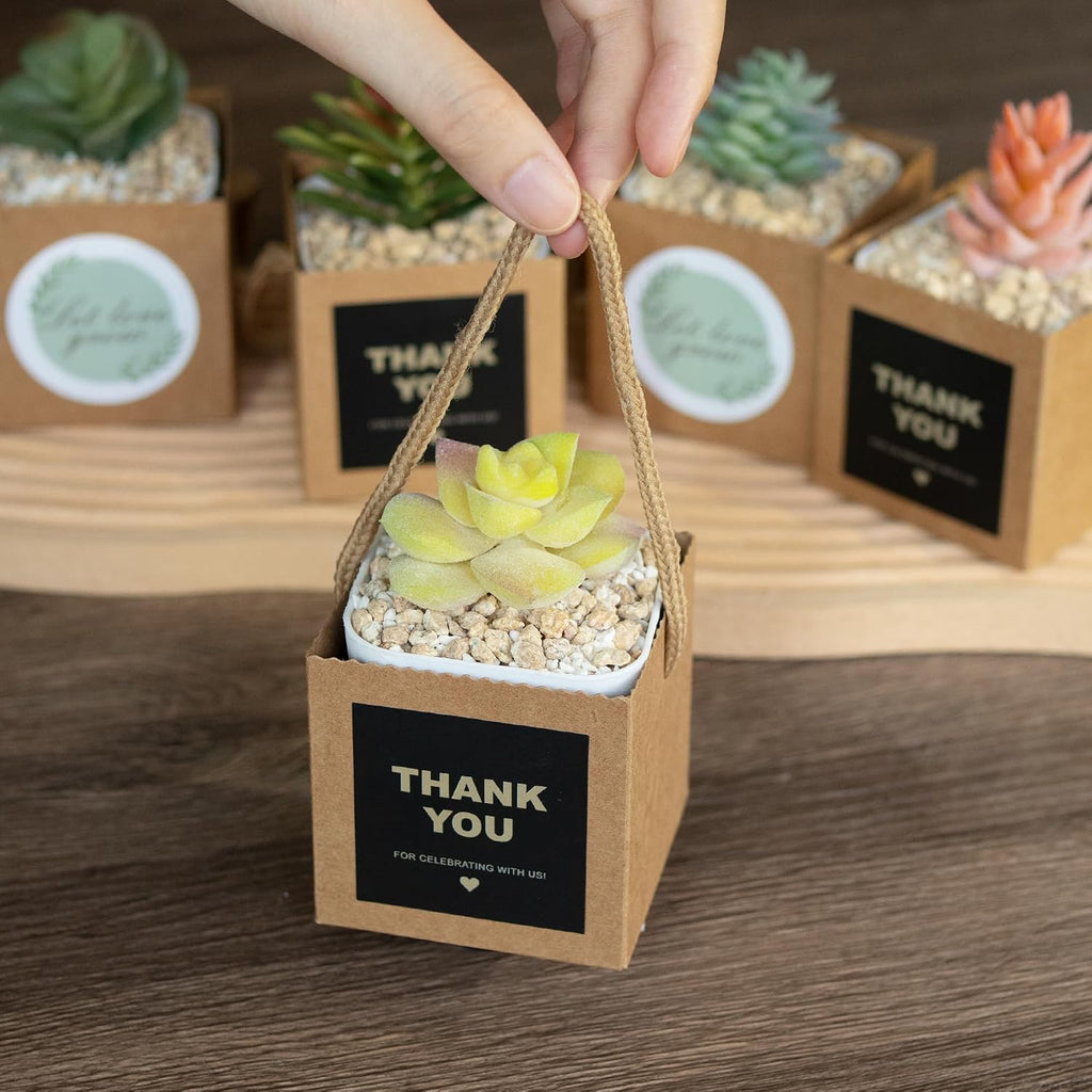 Temlum 2.5 Inch Succulent Wrap Bags (Fits 2.5″ Pots) with Thank You & Let Love Grow Stickers, Small Gift Box for