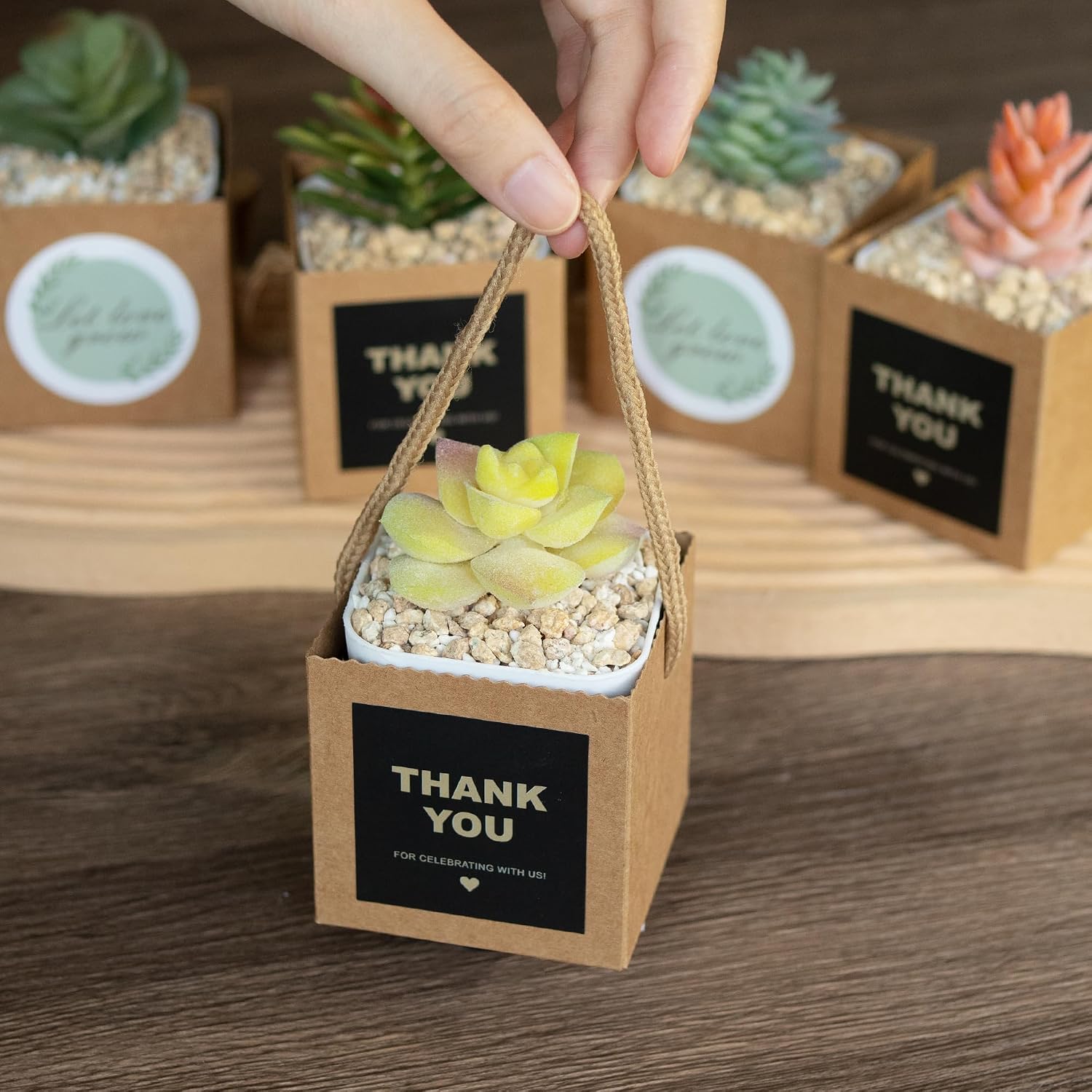 Temlum 2.5 Inch Succulent Wrap Bags (Fits 2.5″ Pots) with Thank You & Let Love Grow Stickers, Small Gift Box for
