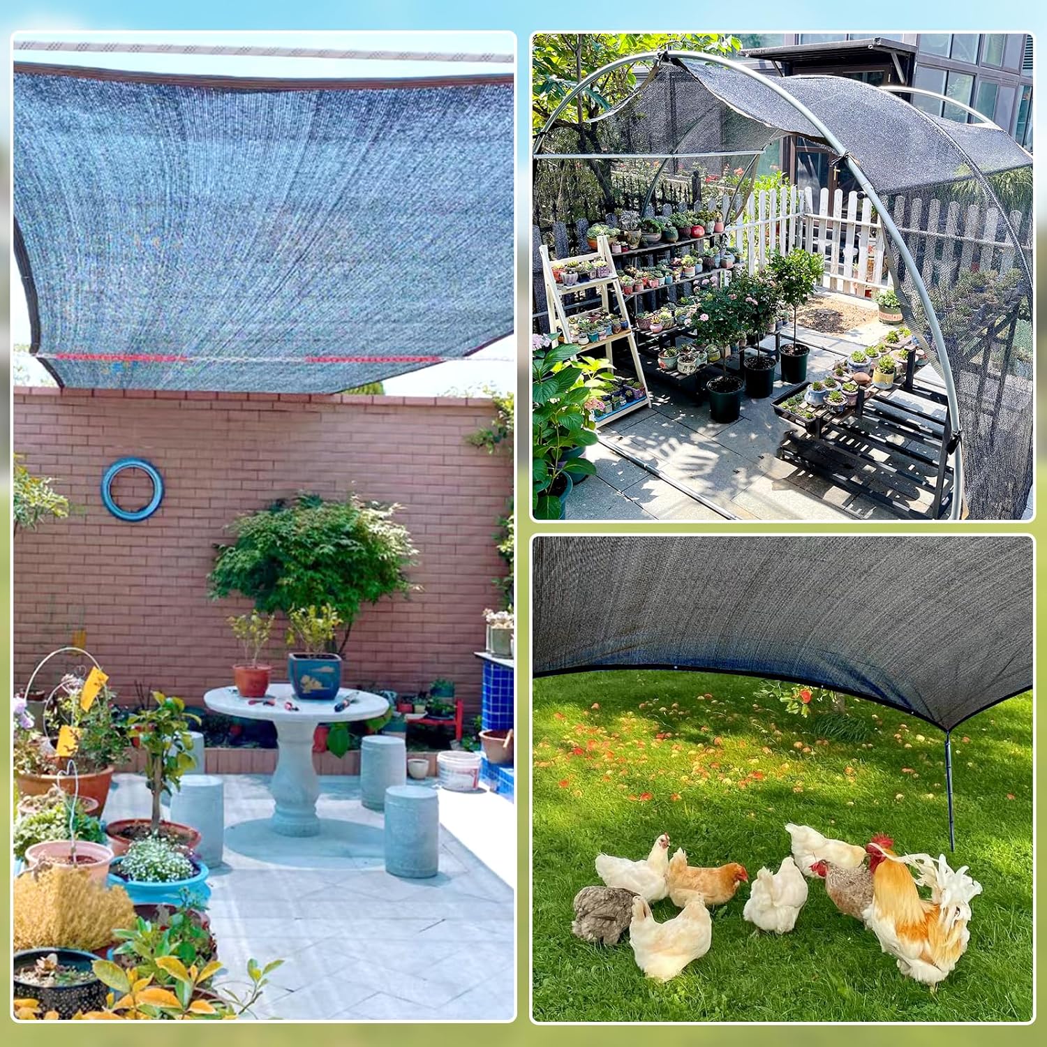 50% Shade Cloth for Garden, 10x20FT Black Mesh Tarp Net | HDPE Fabric, Sun Shade Cover with Grommets for Greenhouse