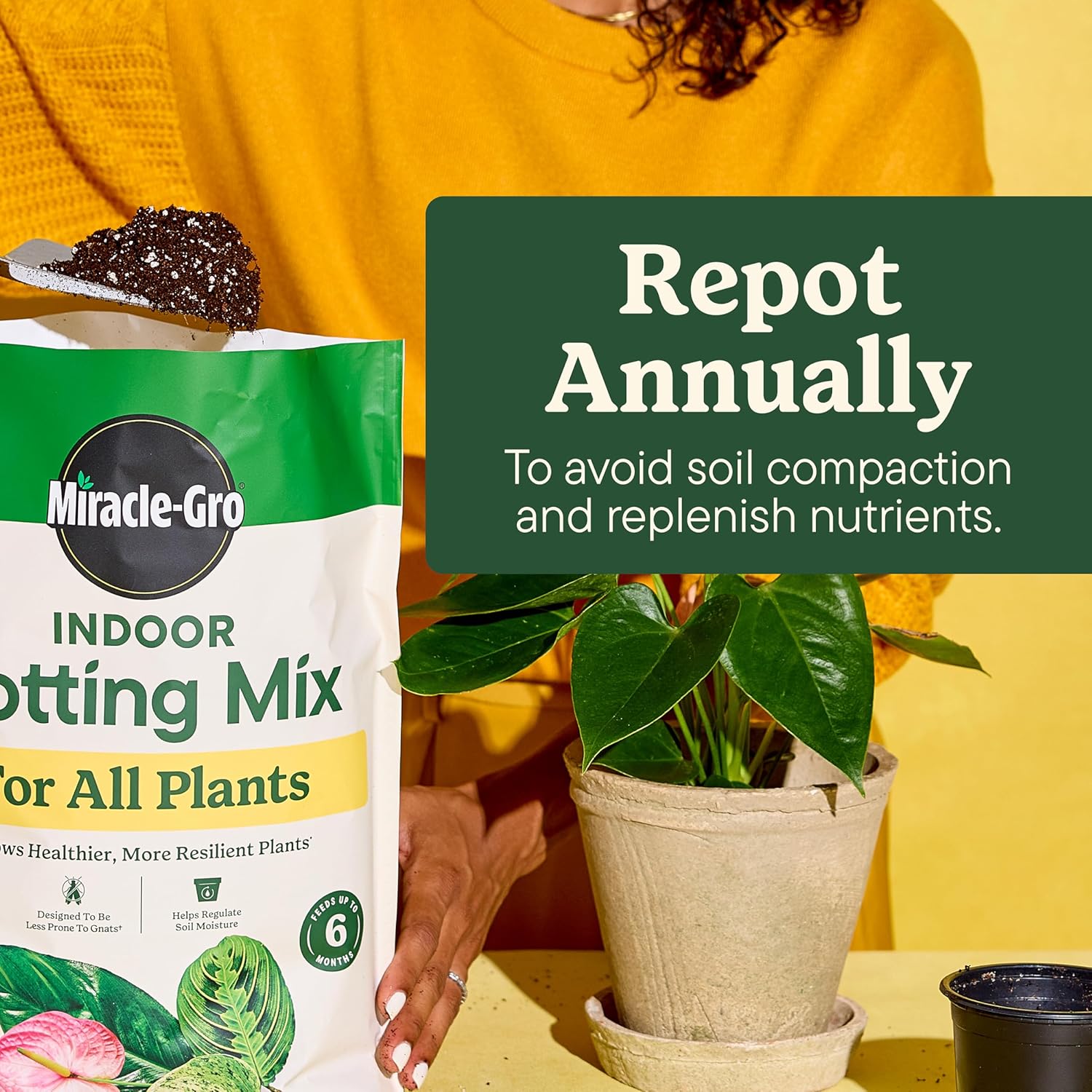 Gro Indoor Potting Mix for All Plants, 16 qt. (2-Pack) | Use with Houseplants and More, Feeds for up to 6 Months