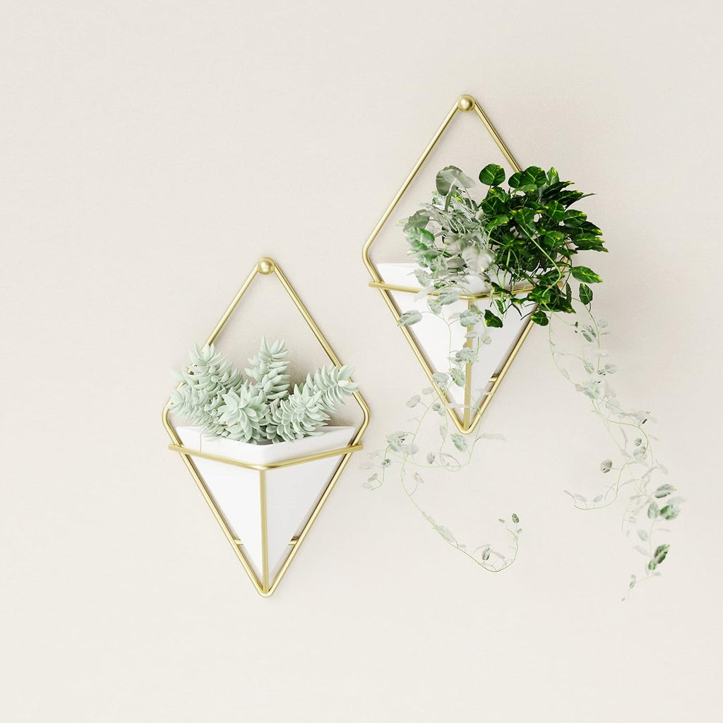 Umbra Trigg Hanging Planter for Small Plants, Set of 2, Small, White/Brass