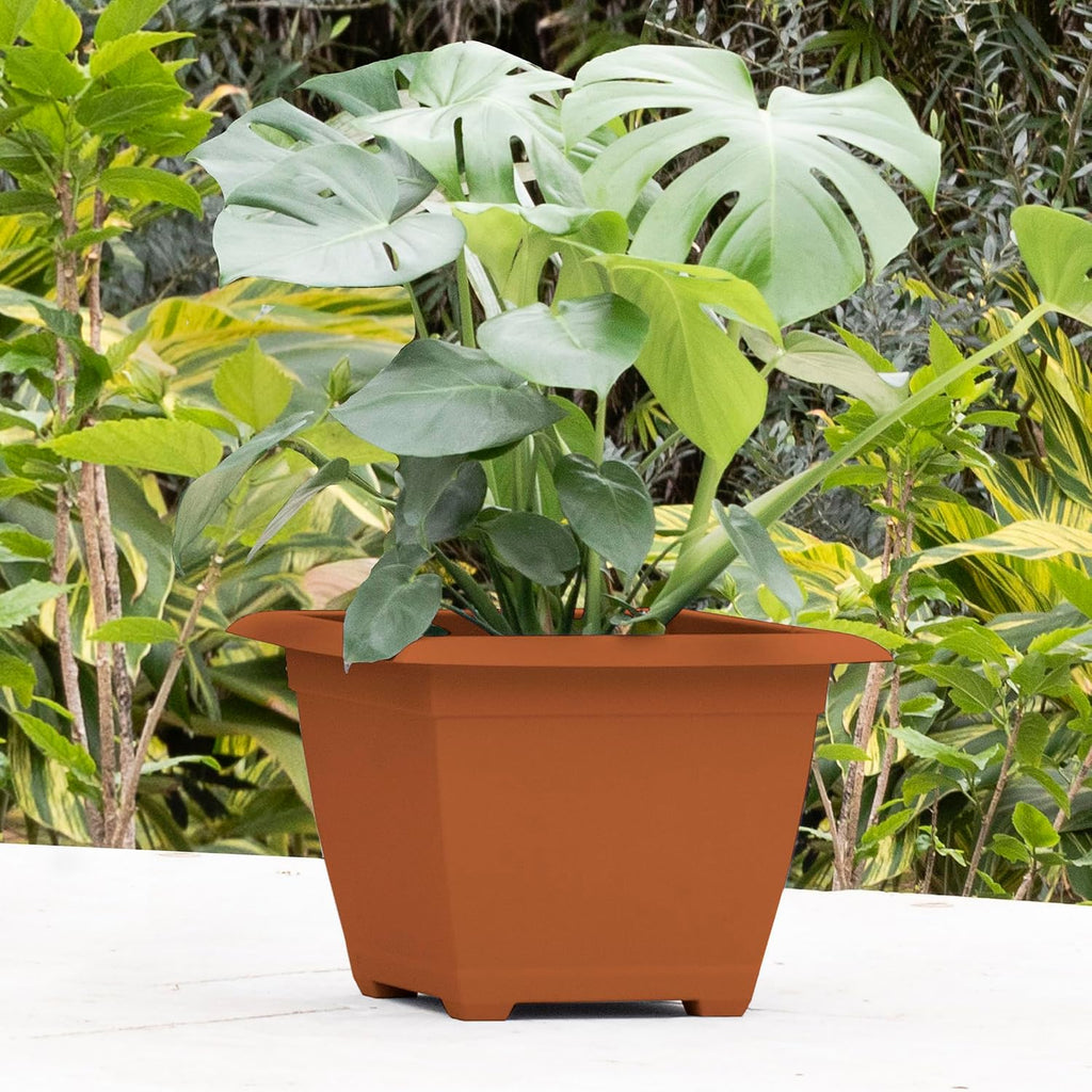 Bloem: Dayton Square Deck Planter: 15" - Terra Cotta - 4.5 Gal Capacity, 100% Recycled Durable Plastic, Elevated Feet