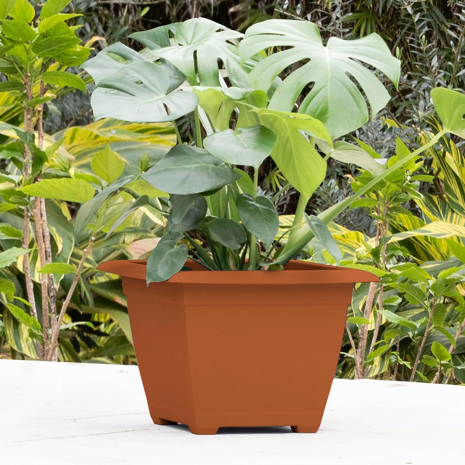 Bloem: Dayton Square Deck Planter: 15" - Terra Cotta - 4.5 Gal Capacity, 100% Recycled Durable Plastic, Elevated Feet