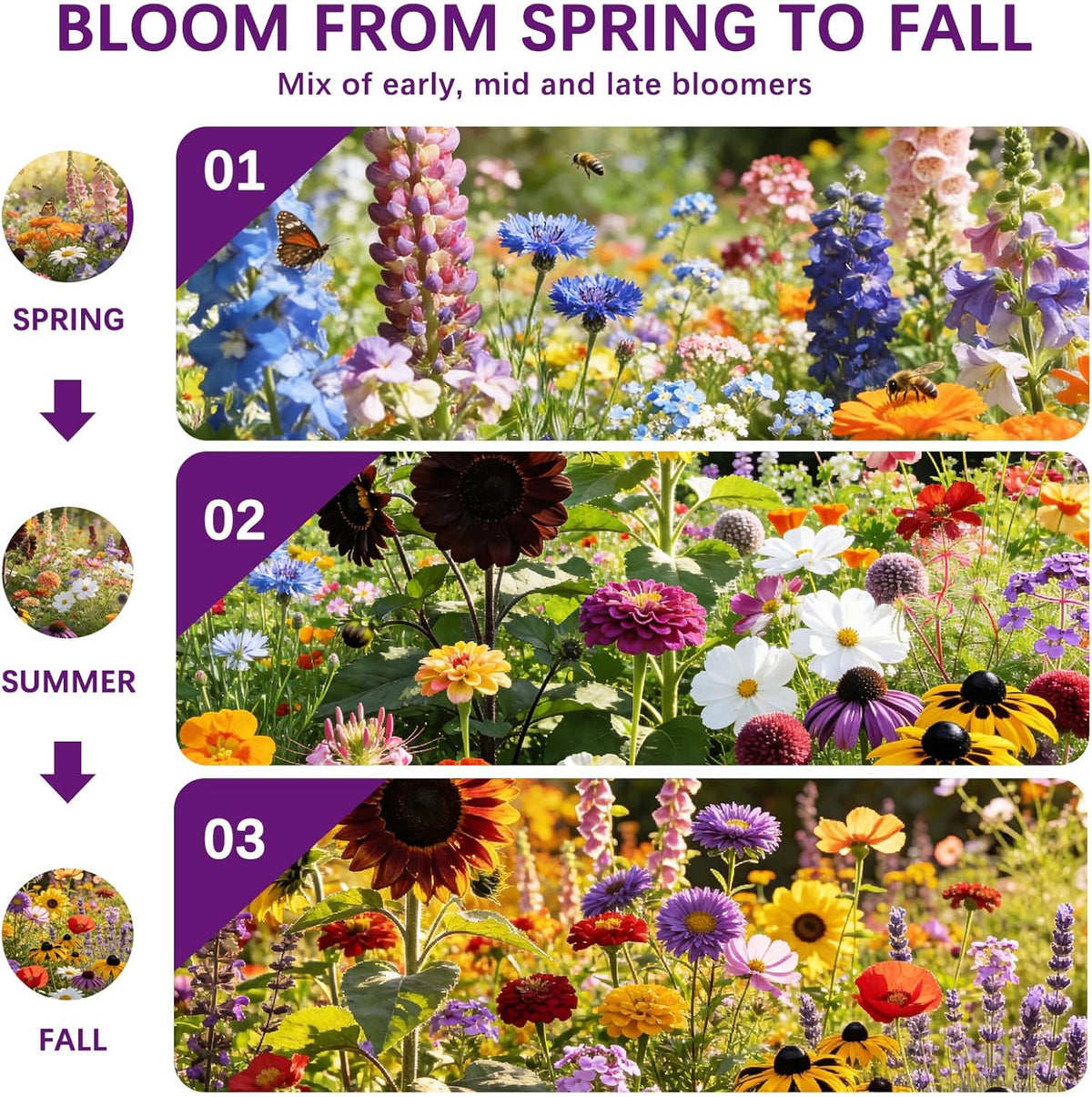 Wildflower Seeds Mix 1/2 lb, 19830+ Seeds Perennial& Annual 36 Varieties Flower Seeds for Planting，Non-GMO Heirloom