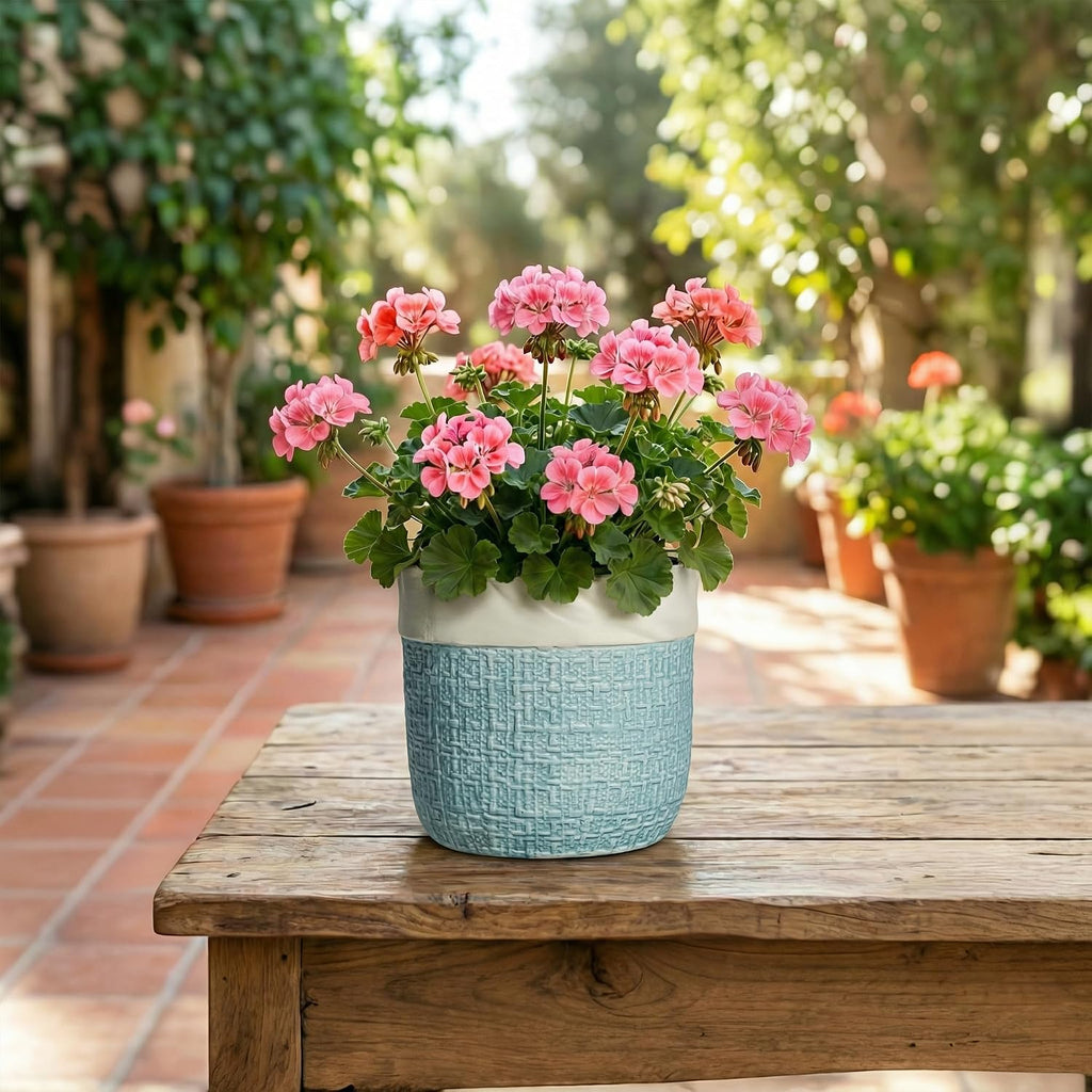 Ceramic Pots for Plants - 6 Inch Plant Pot for Indoor Succulent Plants, Round Planters with Drainage Hole, Decorative