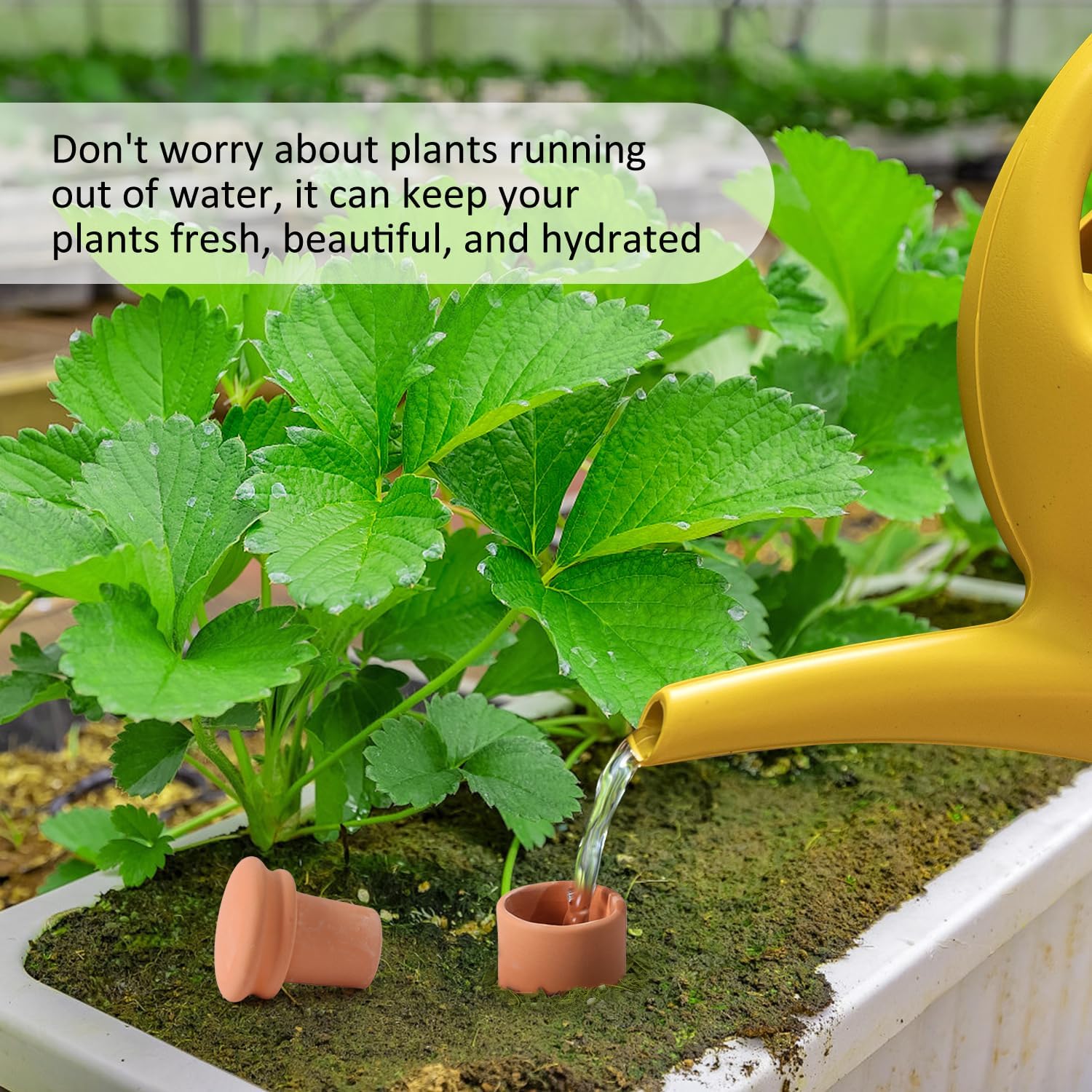 Large 10×6×6inch Terra Cotta Watering Pots 110oz Terra Cotta Watering Terracotta Watering Spikes Self Watering Planter